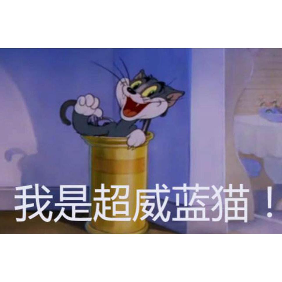 超威蓝猫