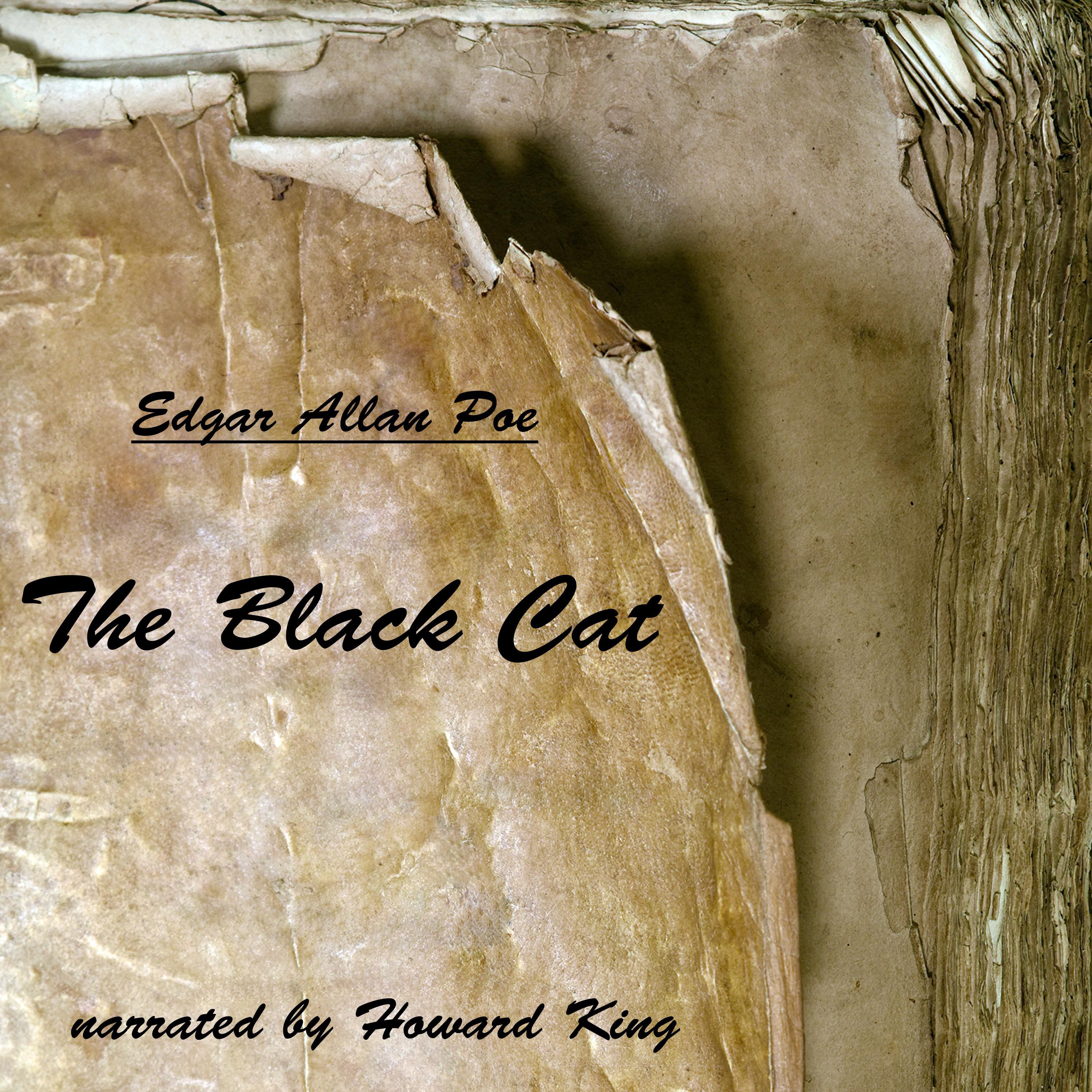 The Black Cat