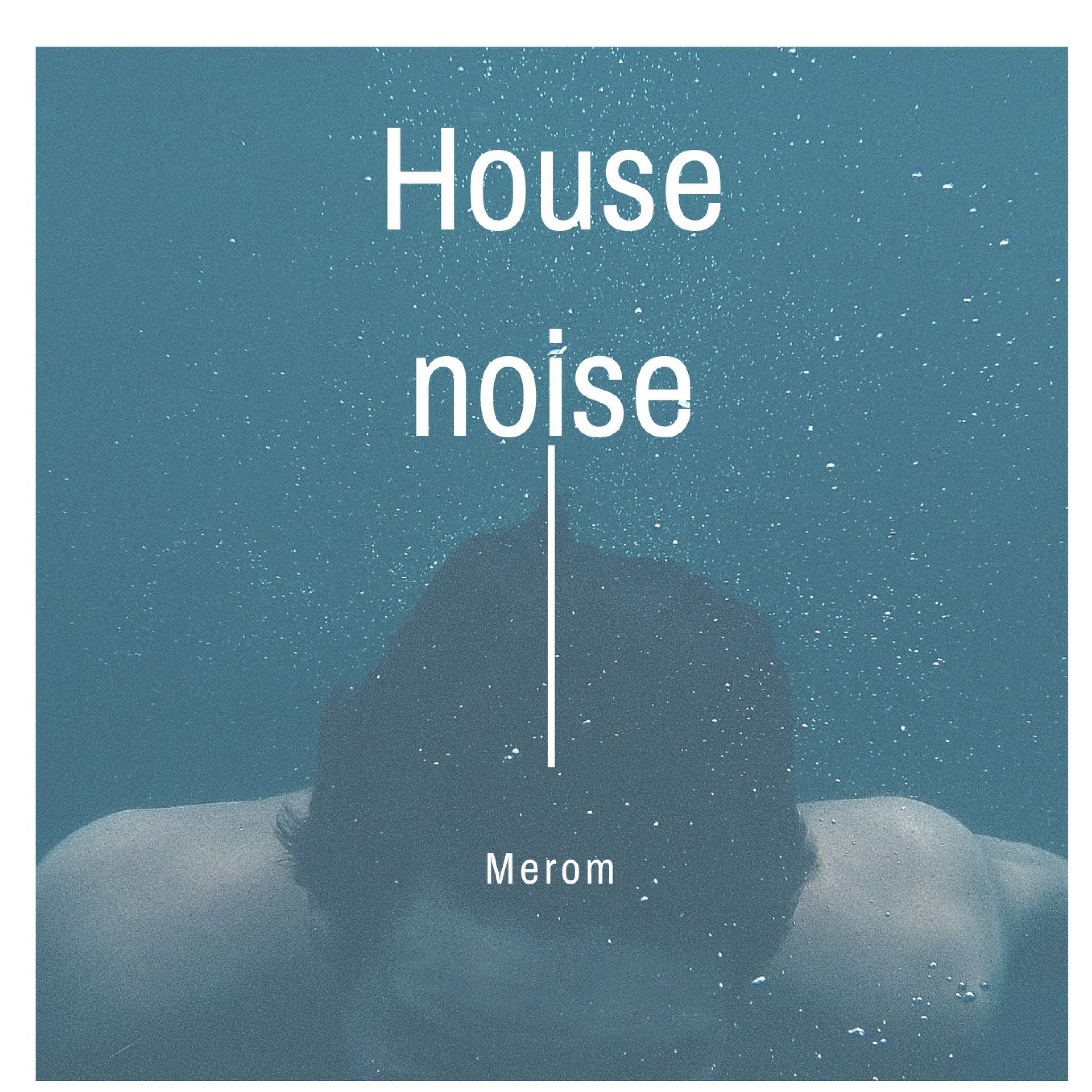 House Noise