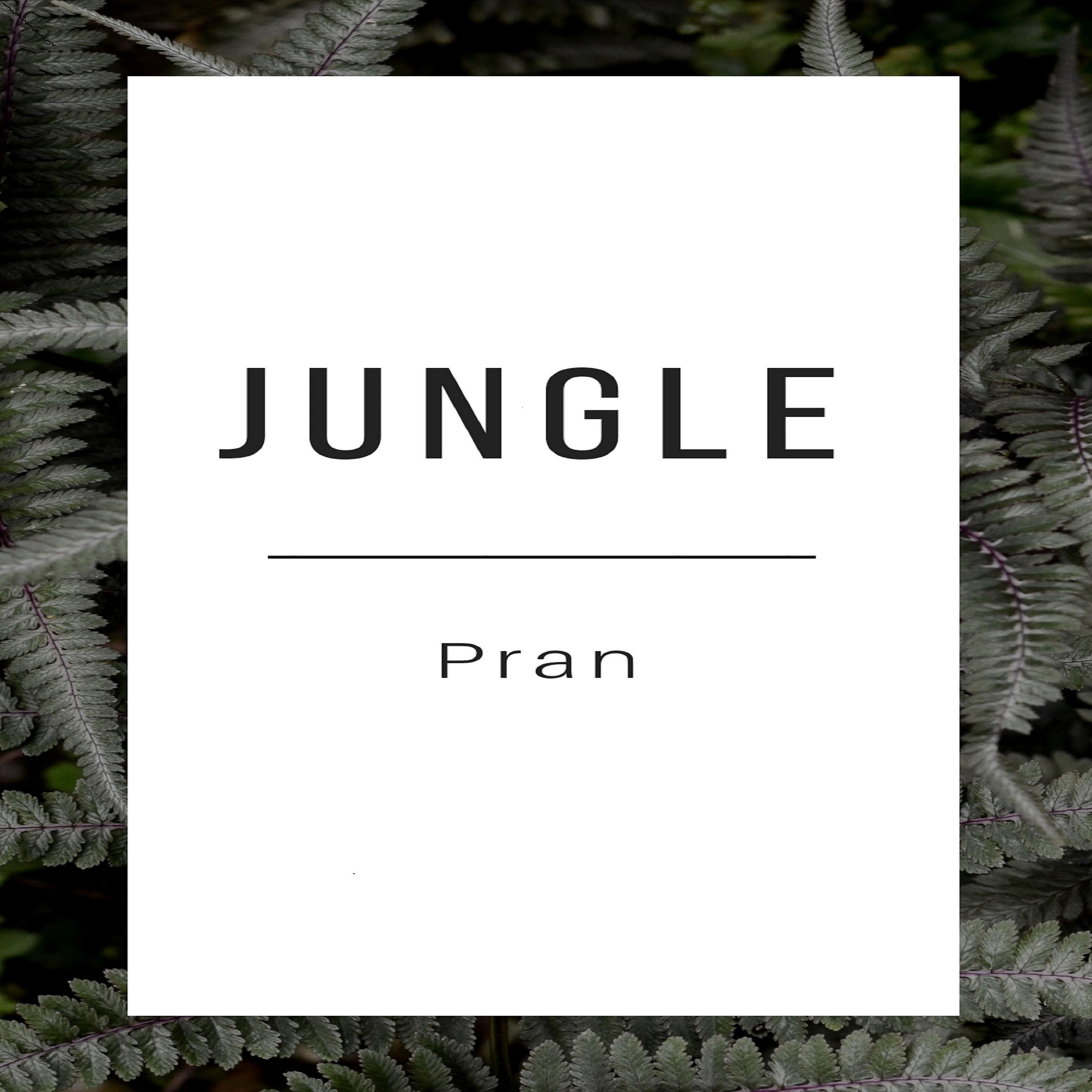 Jungle