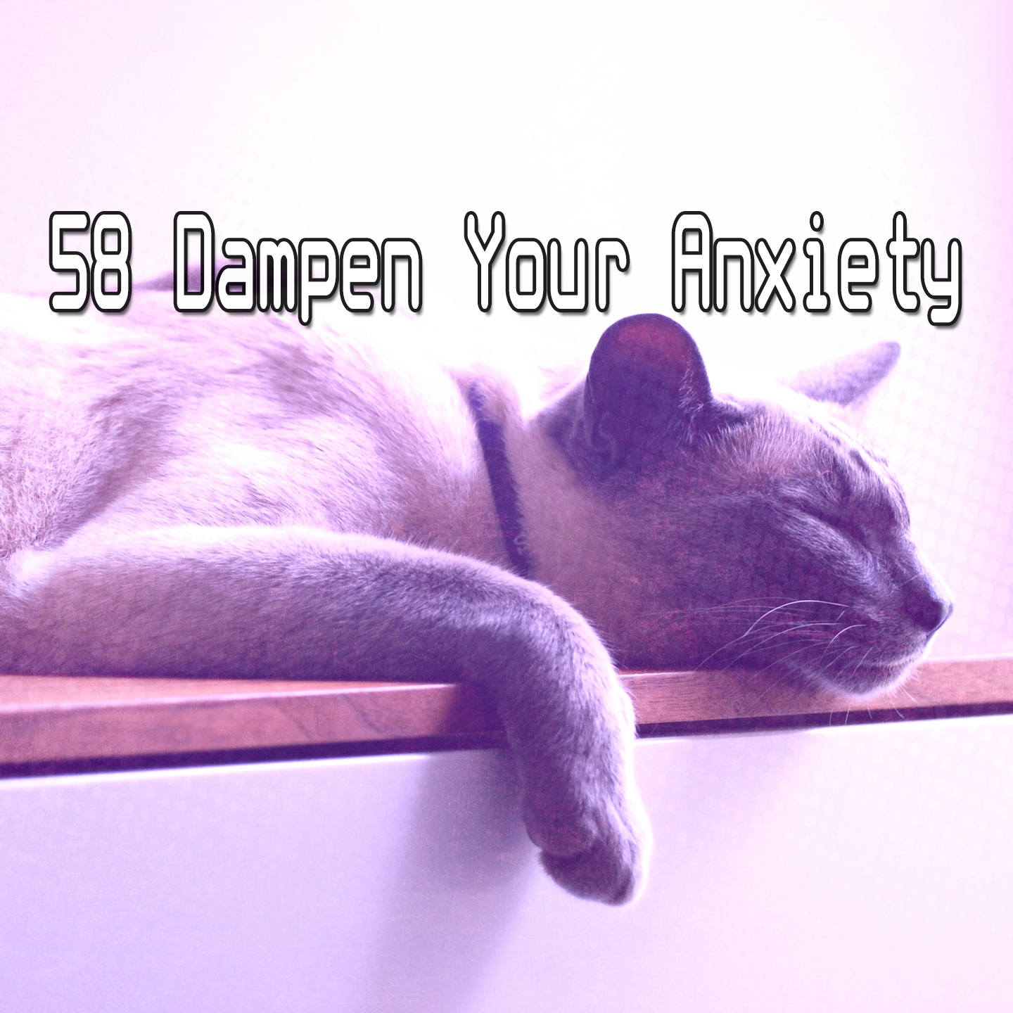 58 Dampen Your Anxiety