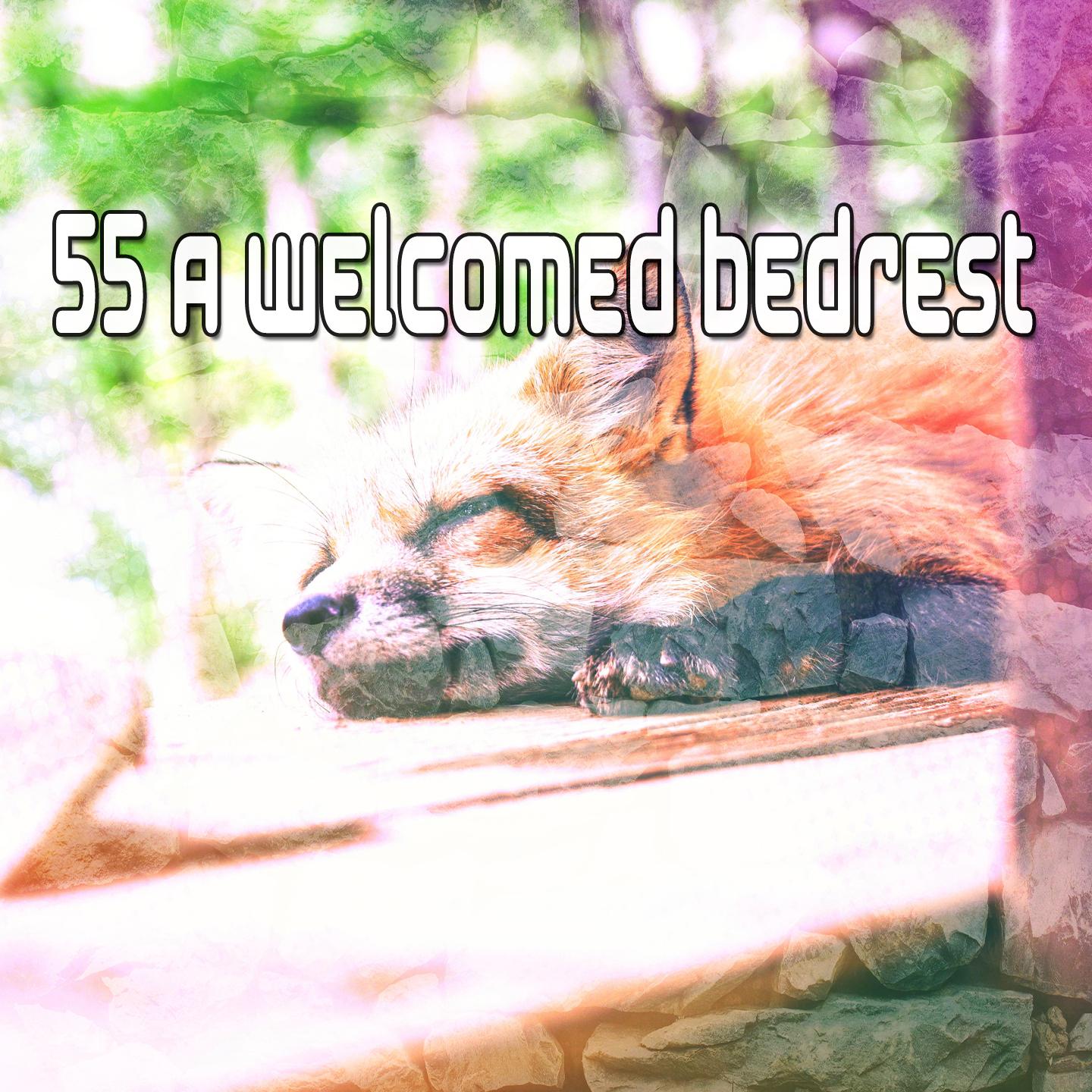 55 A Welcomed Bedrest