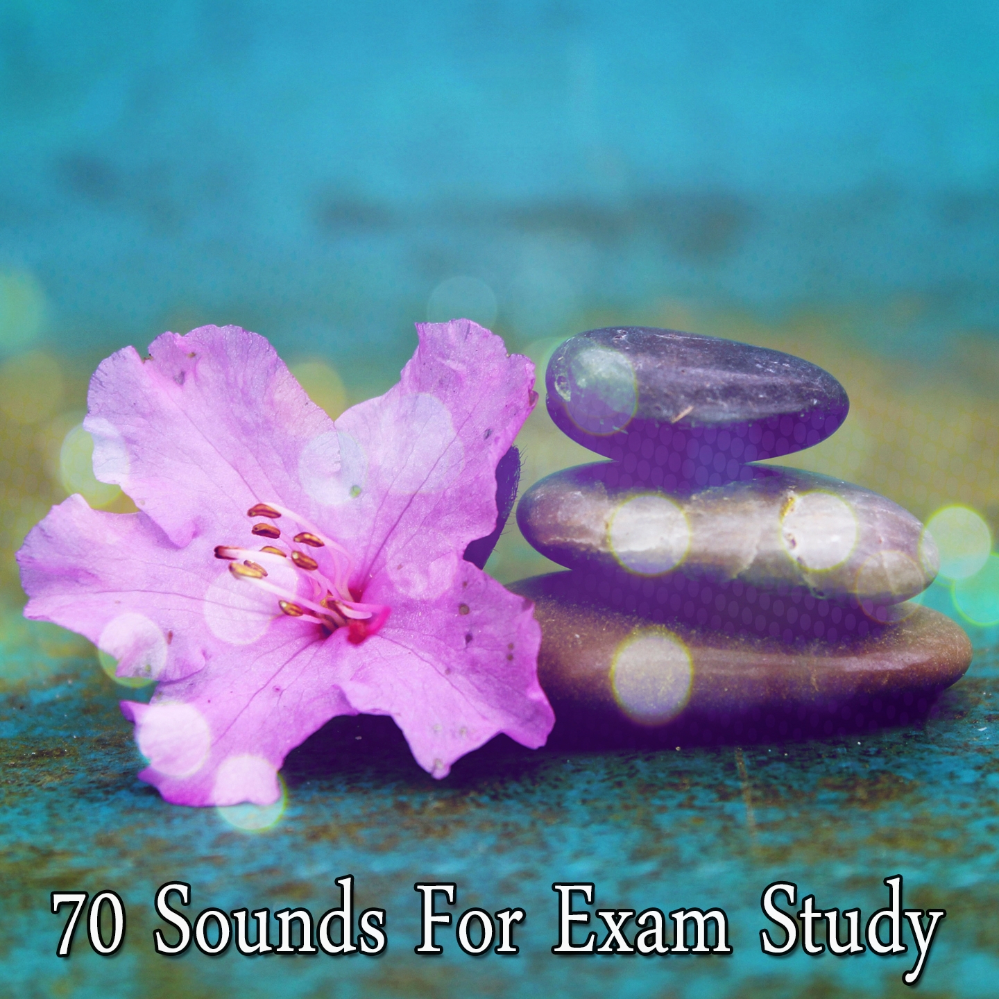 70 Sounds For Exam Study