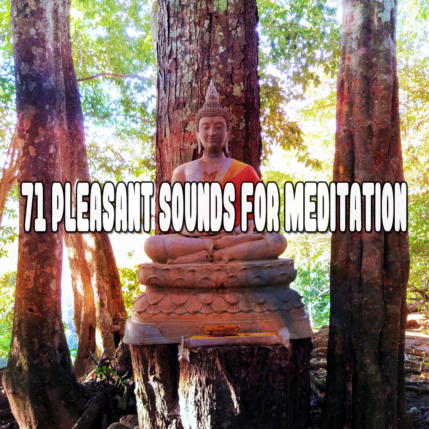 71 Pleasant Sounds For Meditation