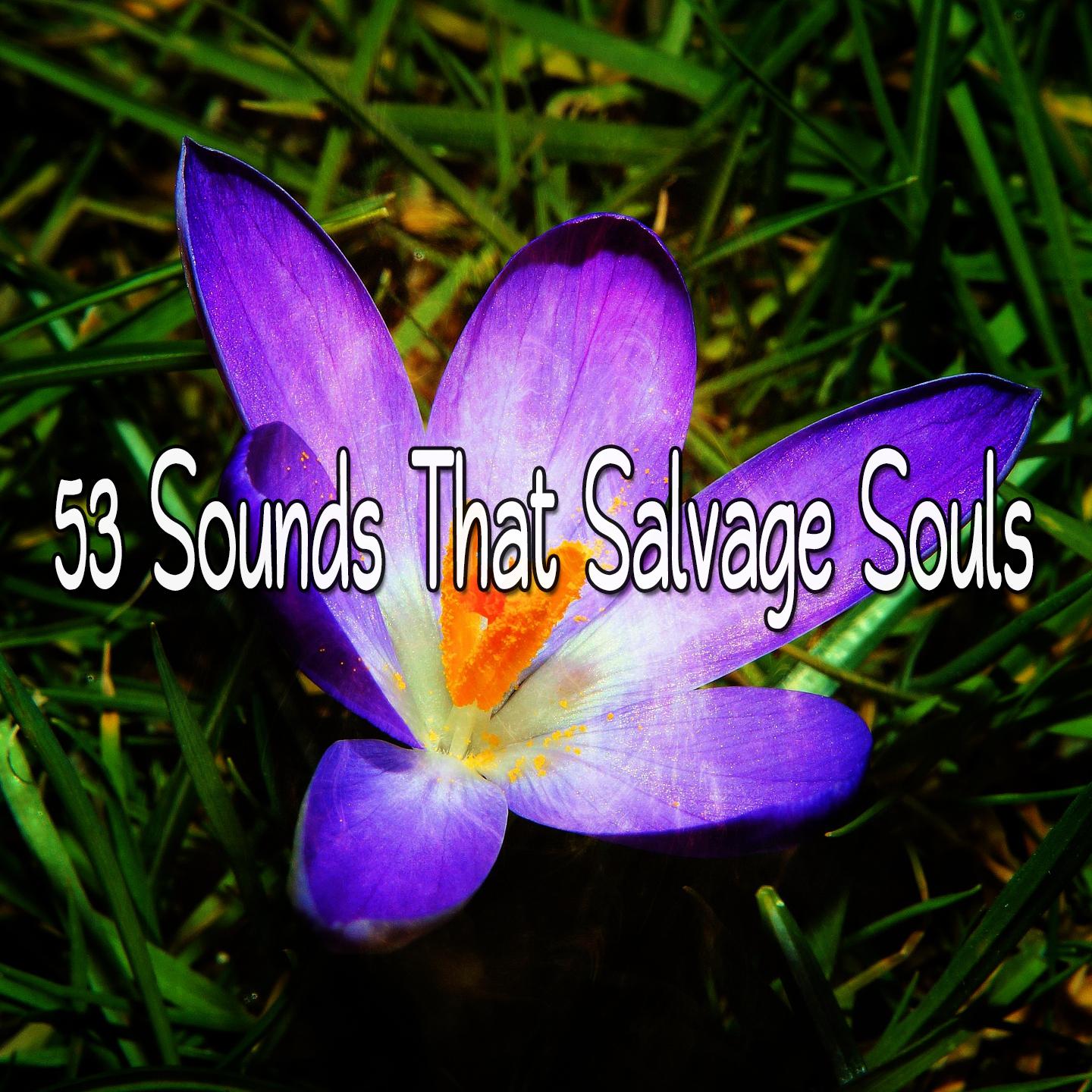 53 Sounds That Salvage Souls