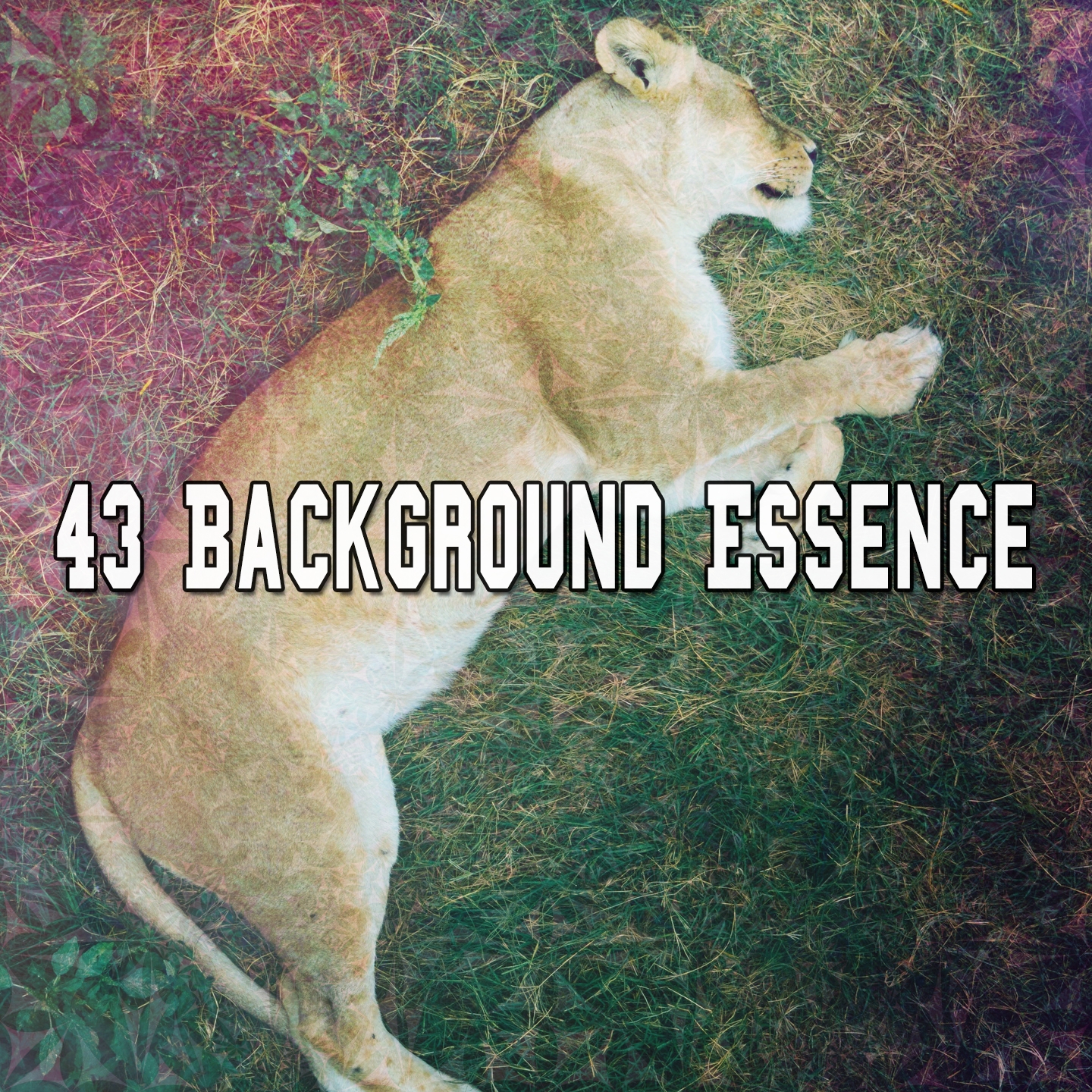 43 Background Essence