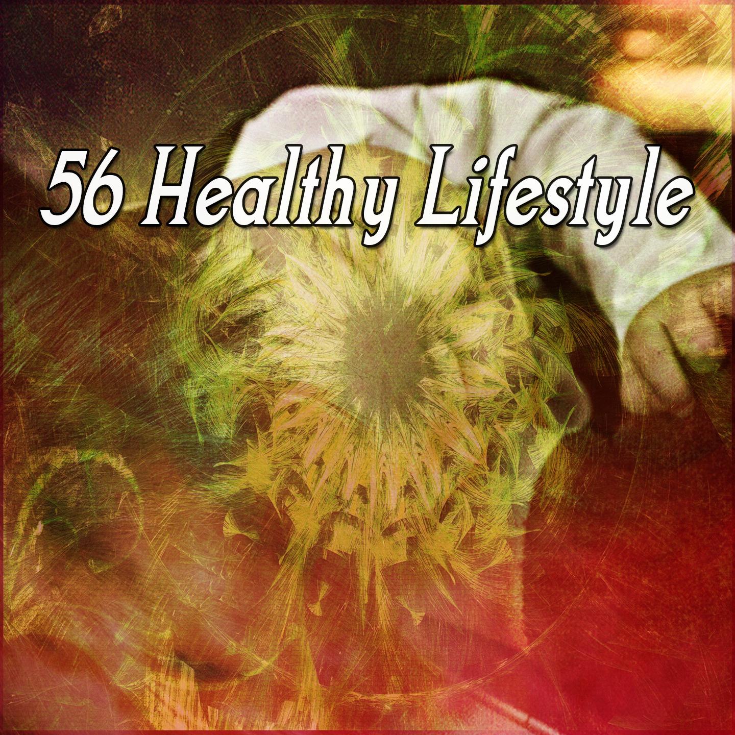 56 Healthy Lifestyle