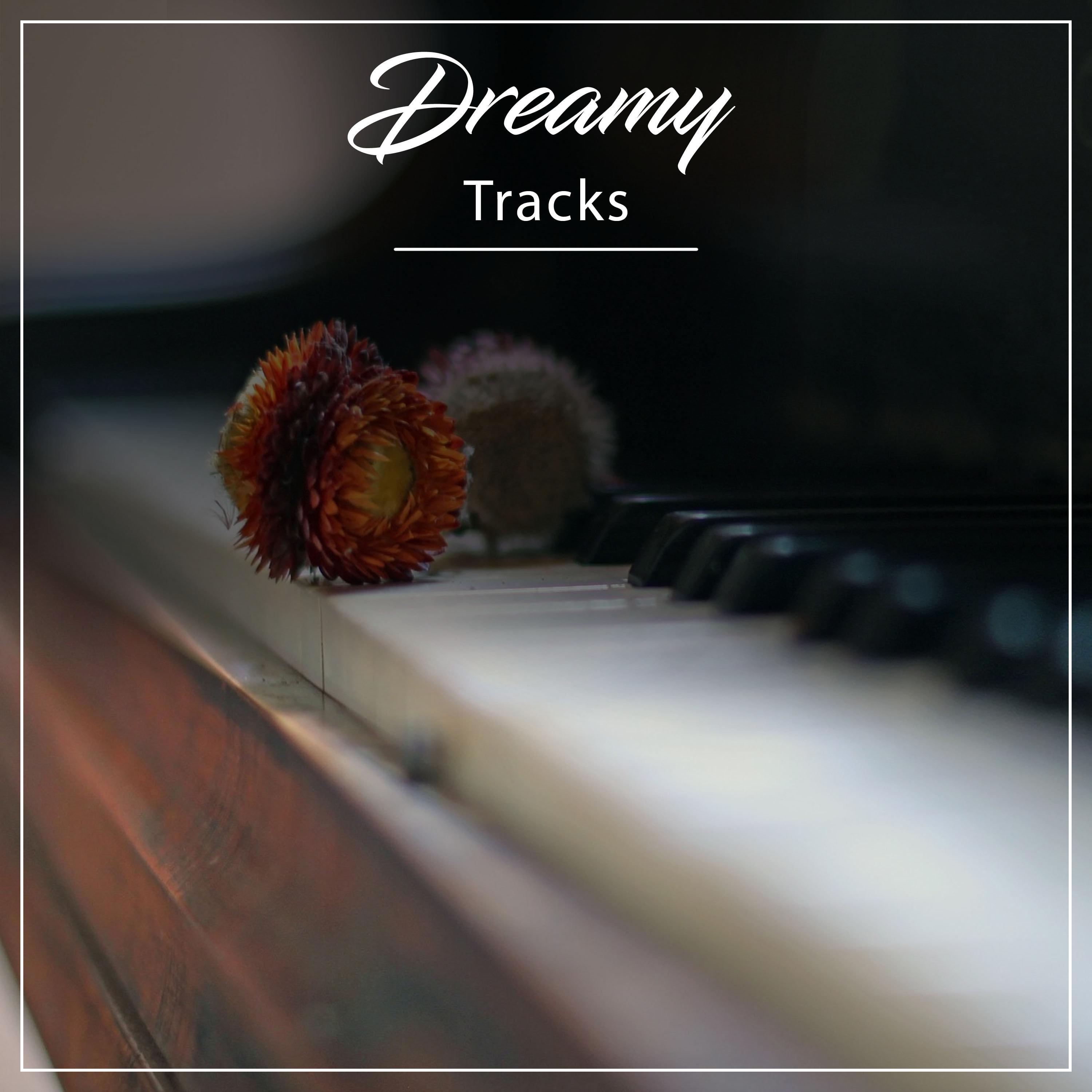 #13 Dreamy Tracks