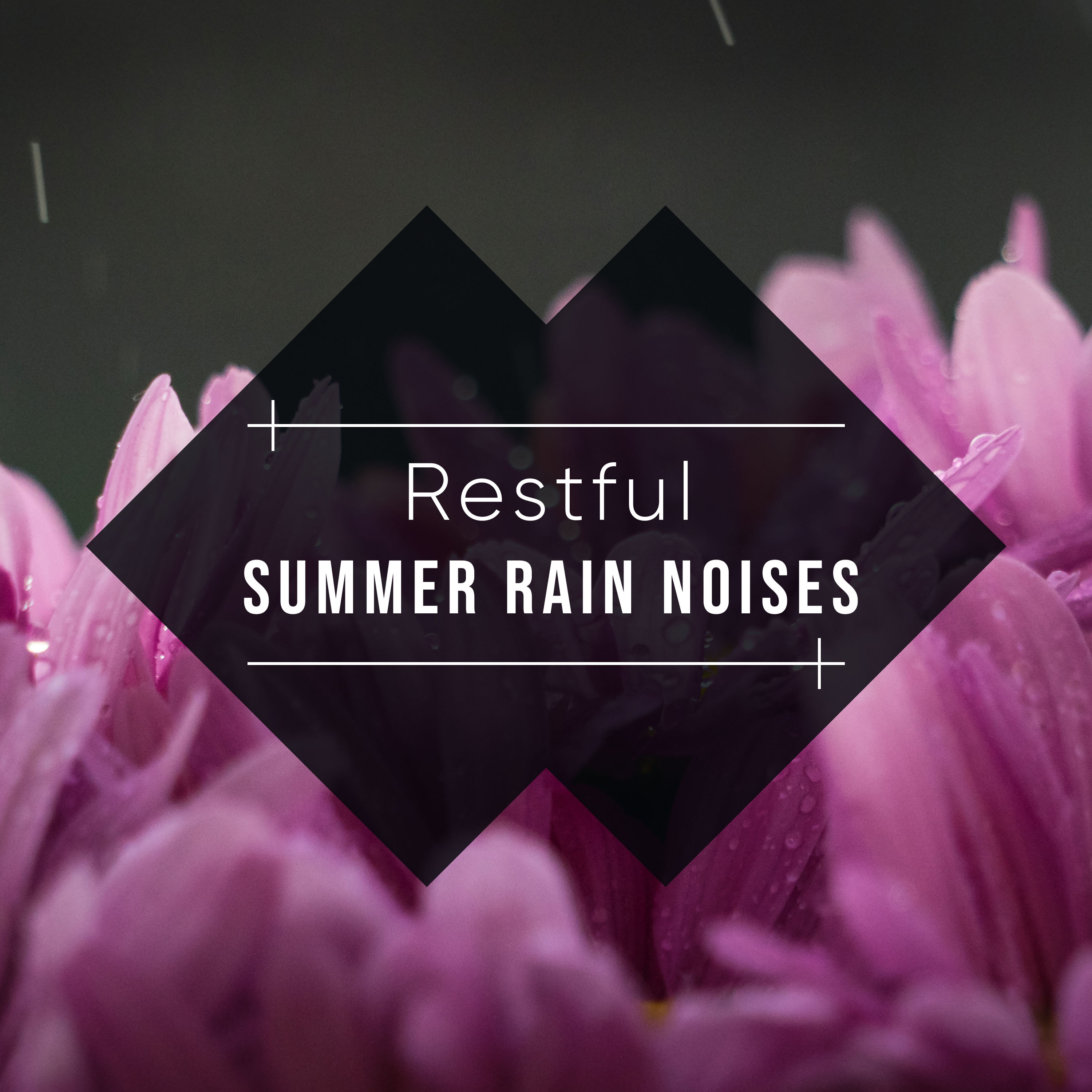 #10 Restful Summer Rain Noises from Nature
