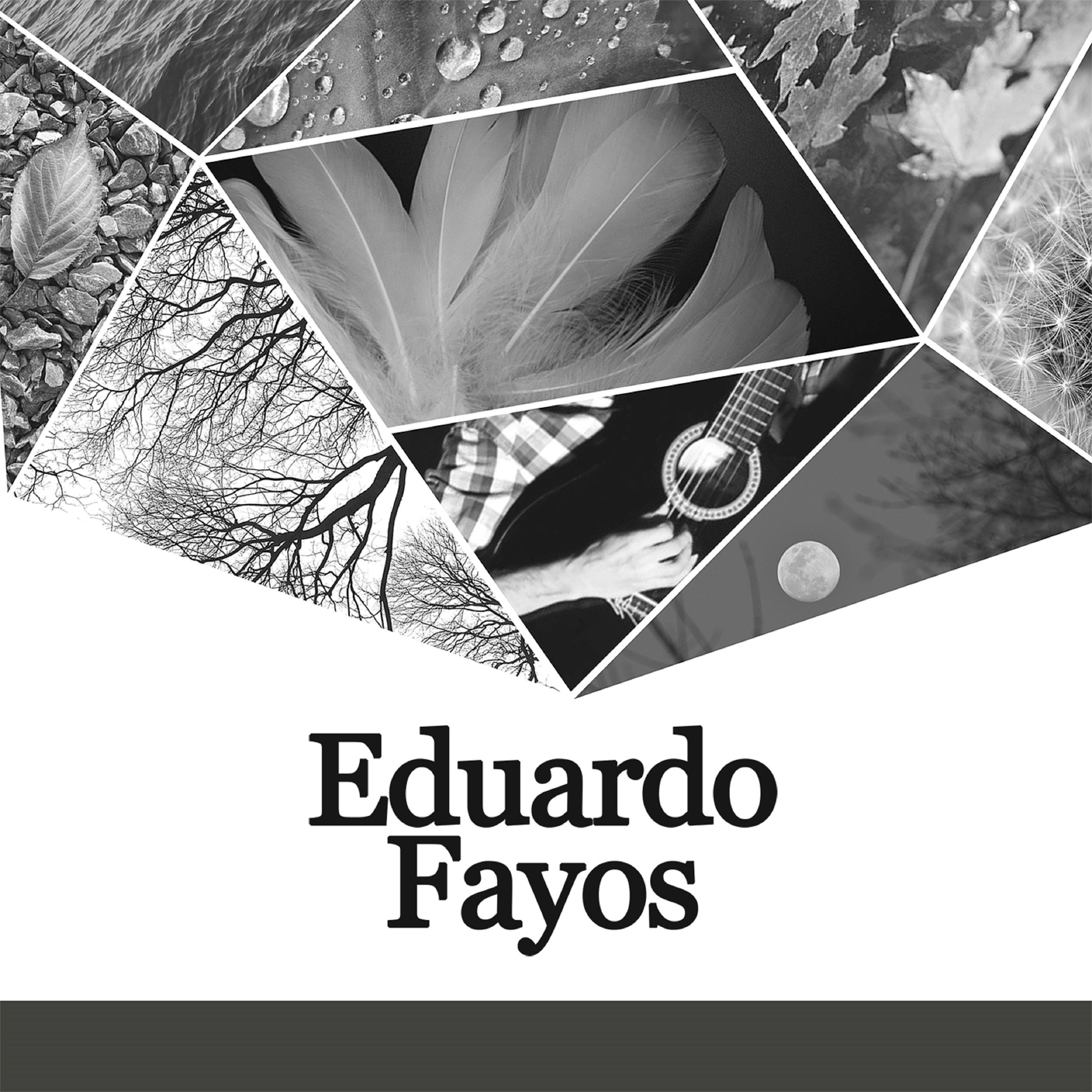 Eduardo Fayos