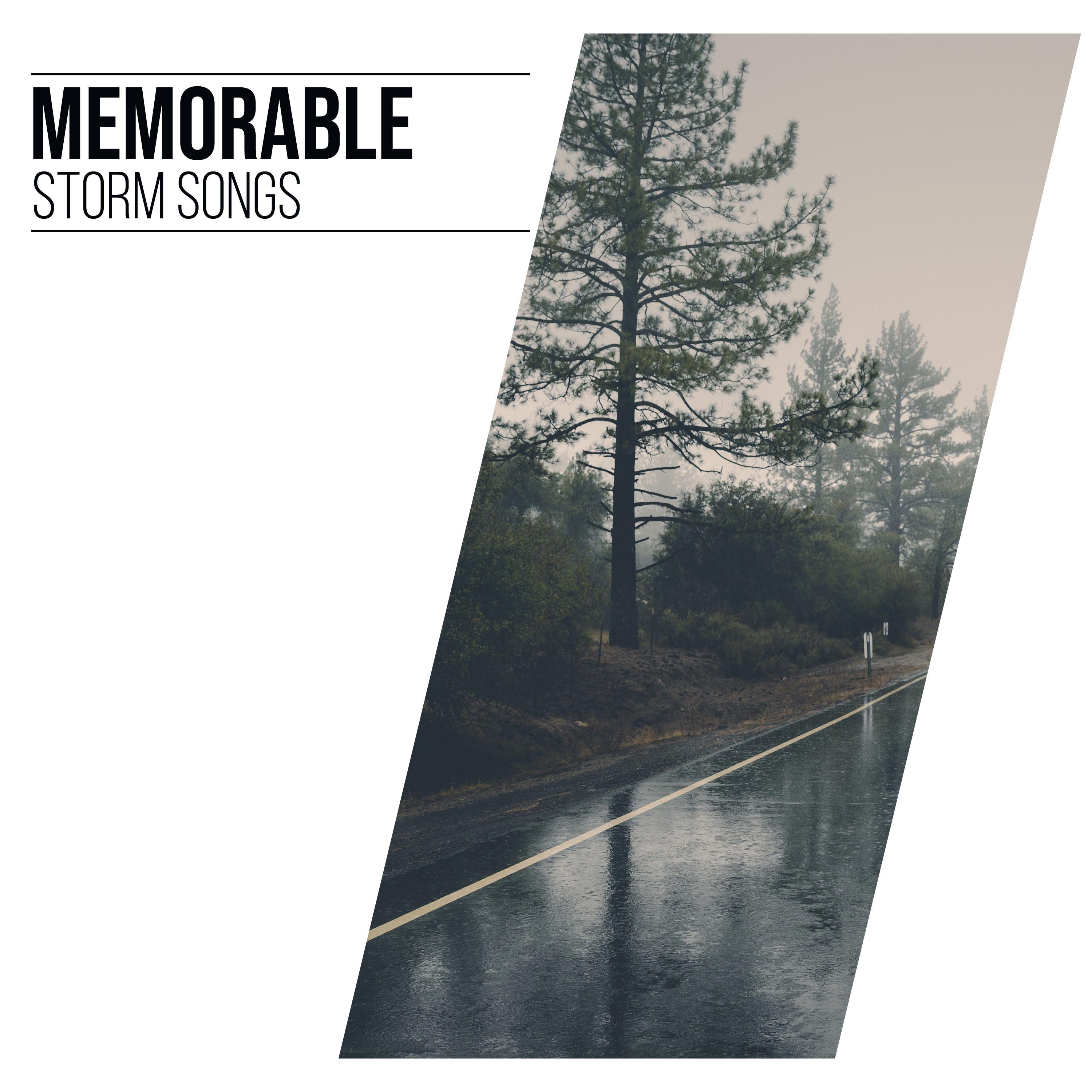 #12 Memorable Storm Songs from Nature