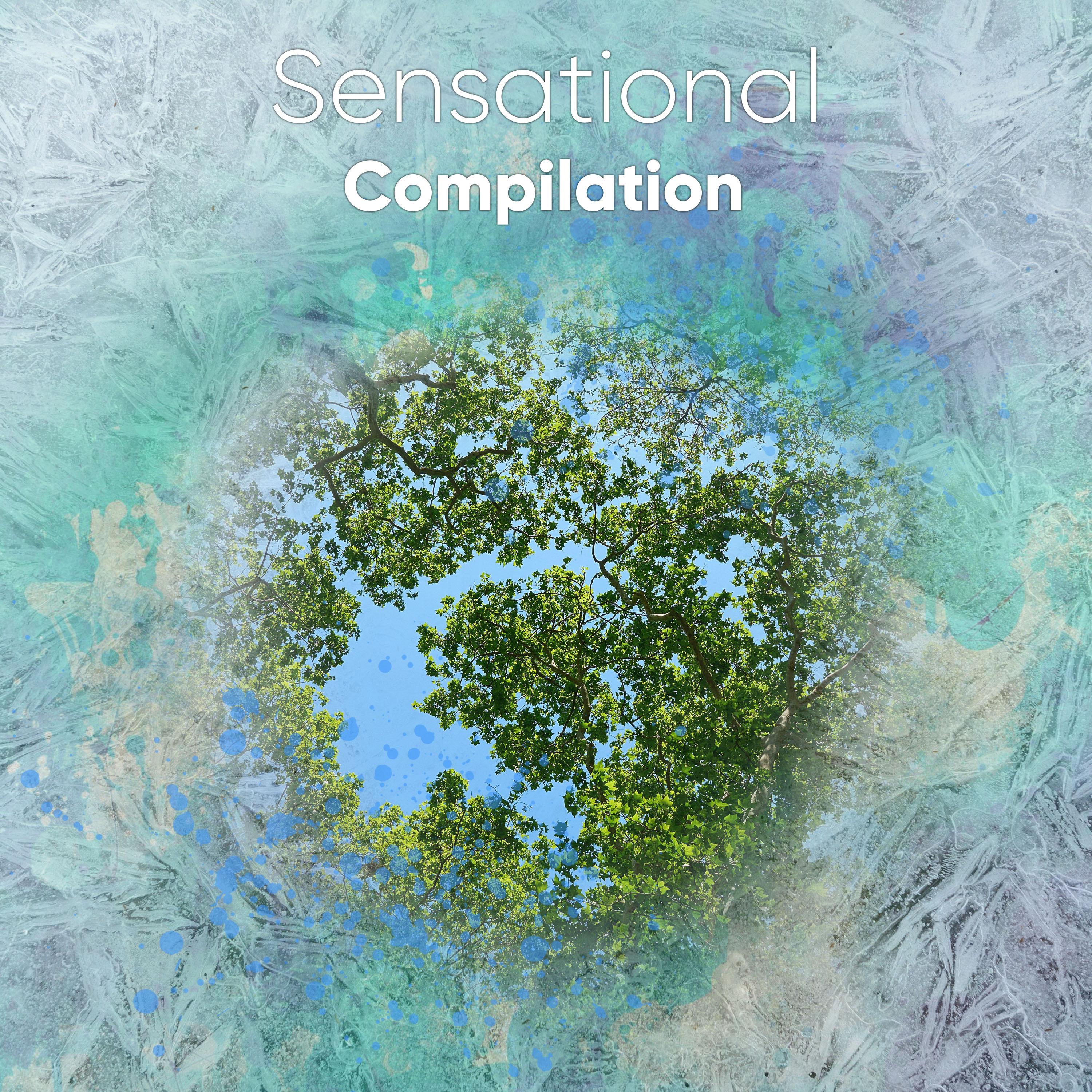 #20 Sensational Compilation for Meditation