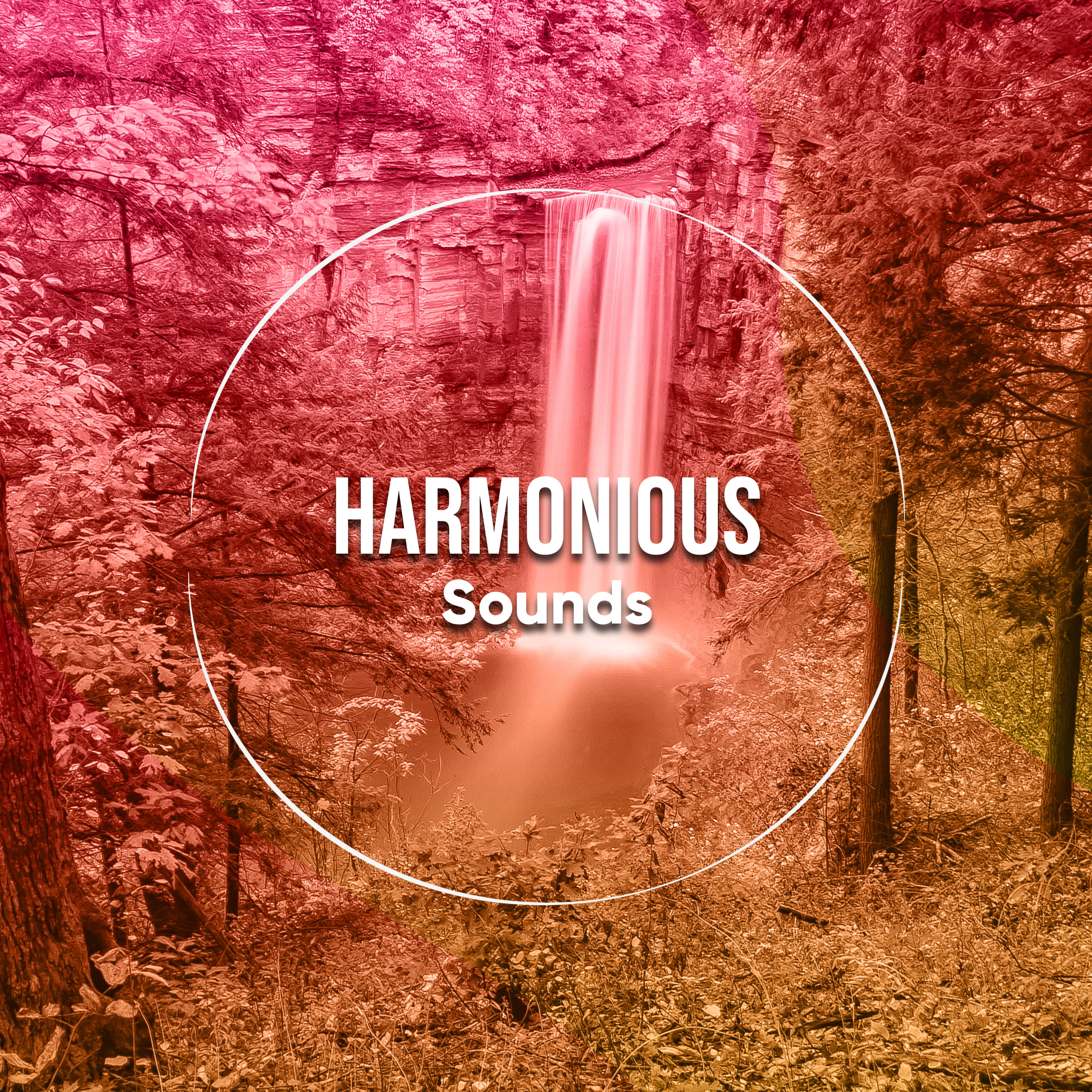 #2018 Harmonious Sounds for Reiki & Relaxation