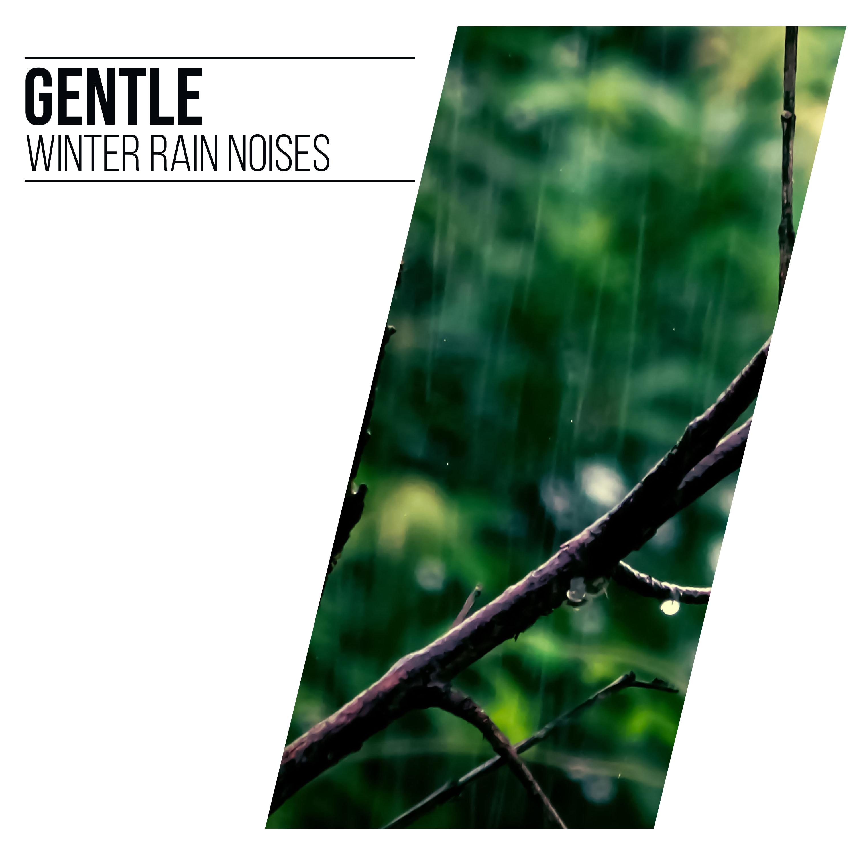 #11 Gentle Winter Rain Noises for Relaxing with Nature