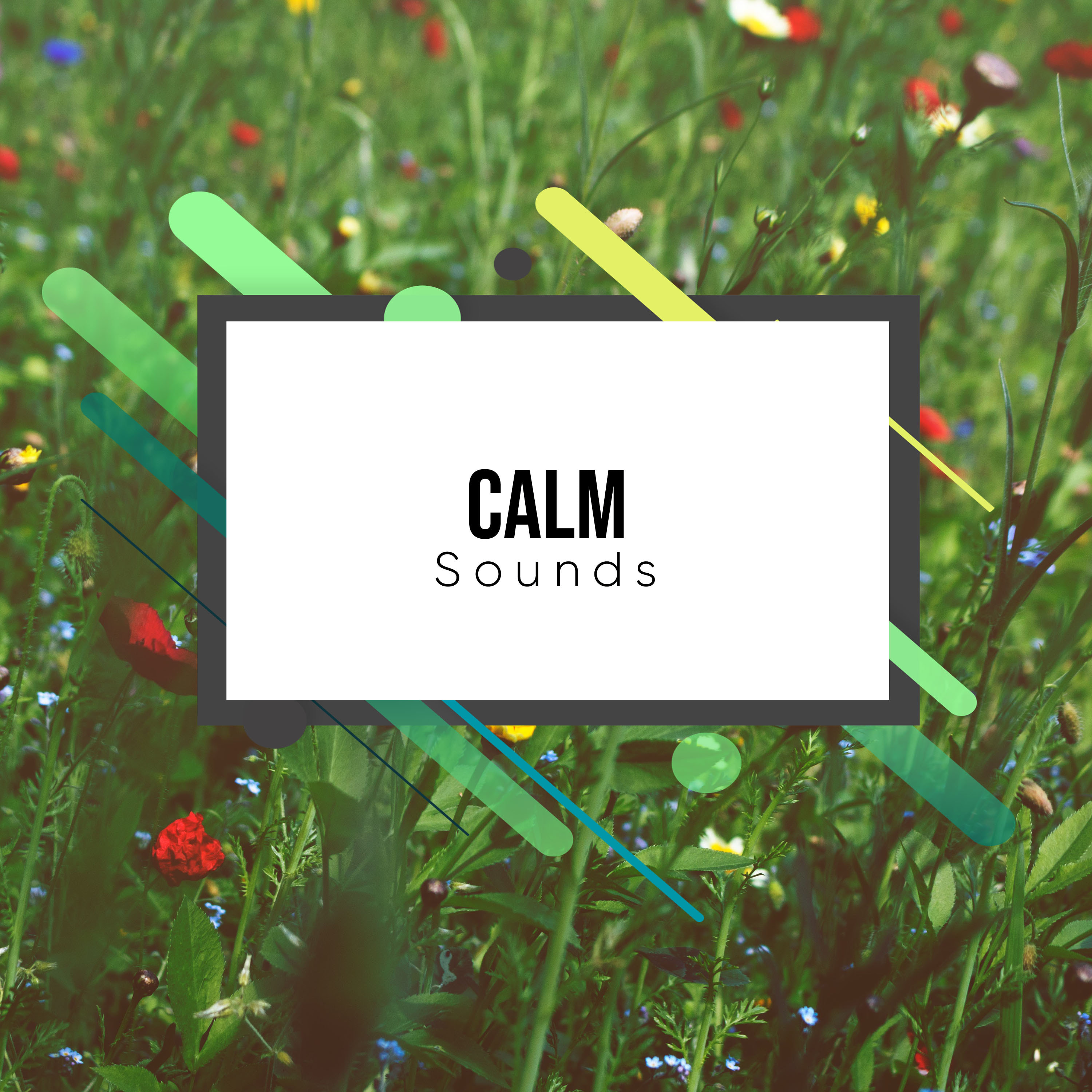 #12 Calm Sounds for Peaceful Yoga Practice