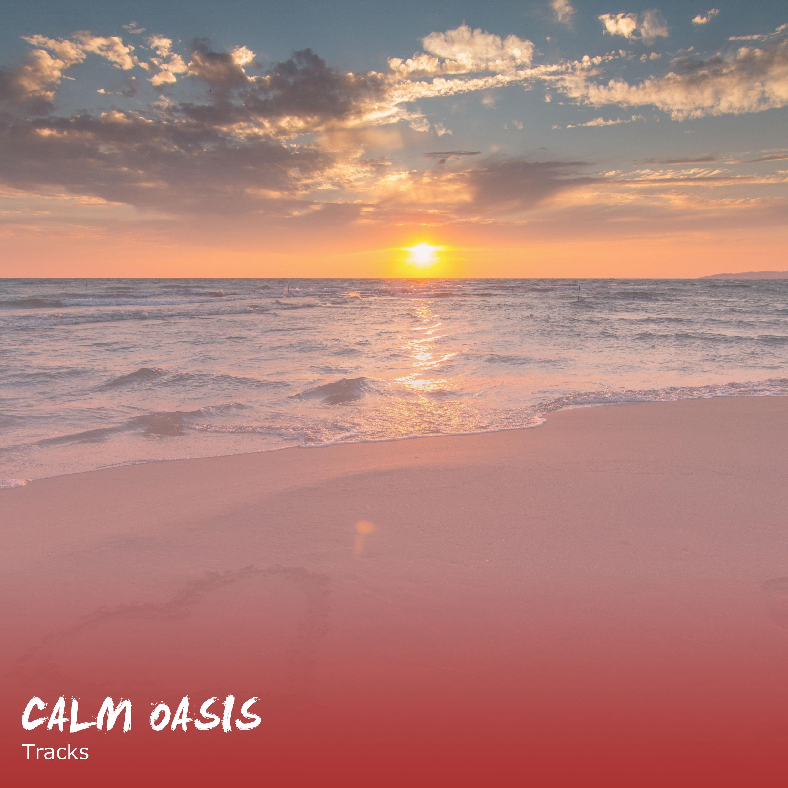 18 Pistas de Oasis Calmo para Ayudar a la Calma y la Relajación