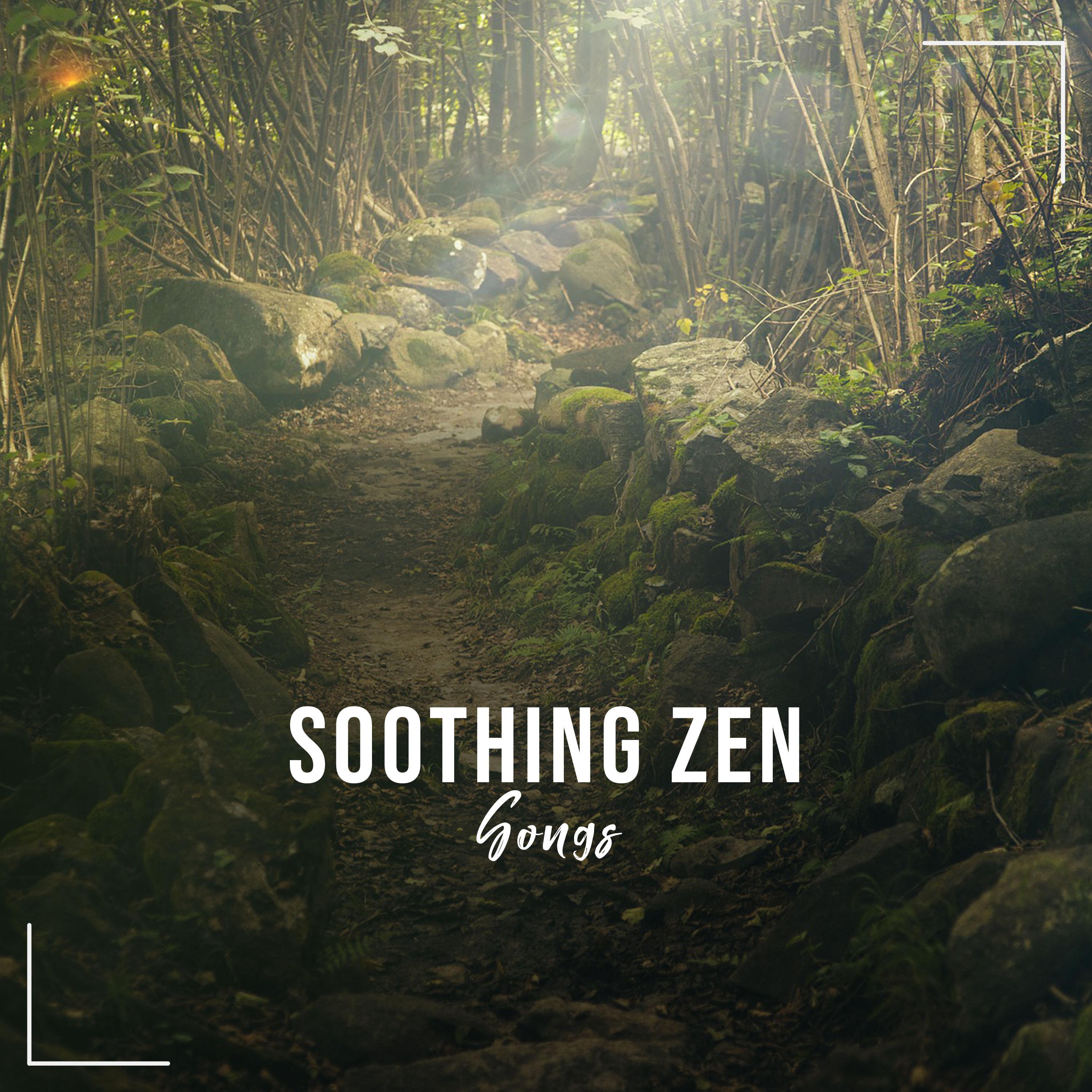 18 Beruhigende Zen-Songs für Ruhe und Entspannung