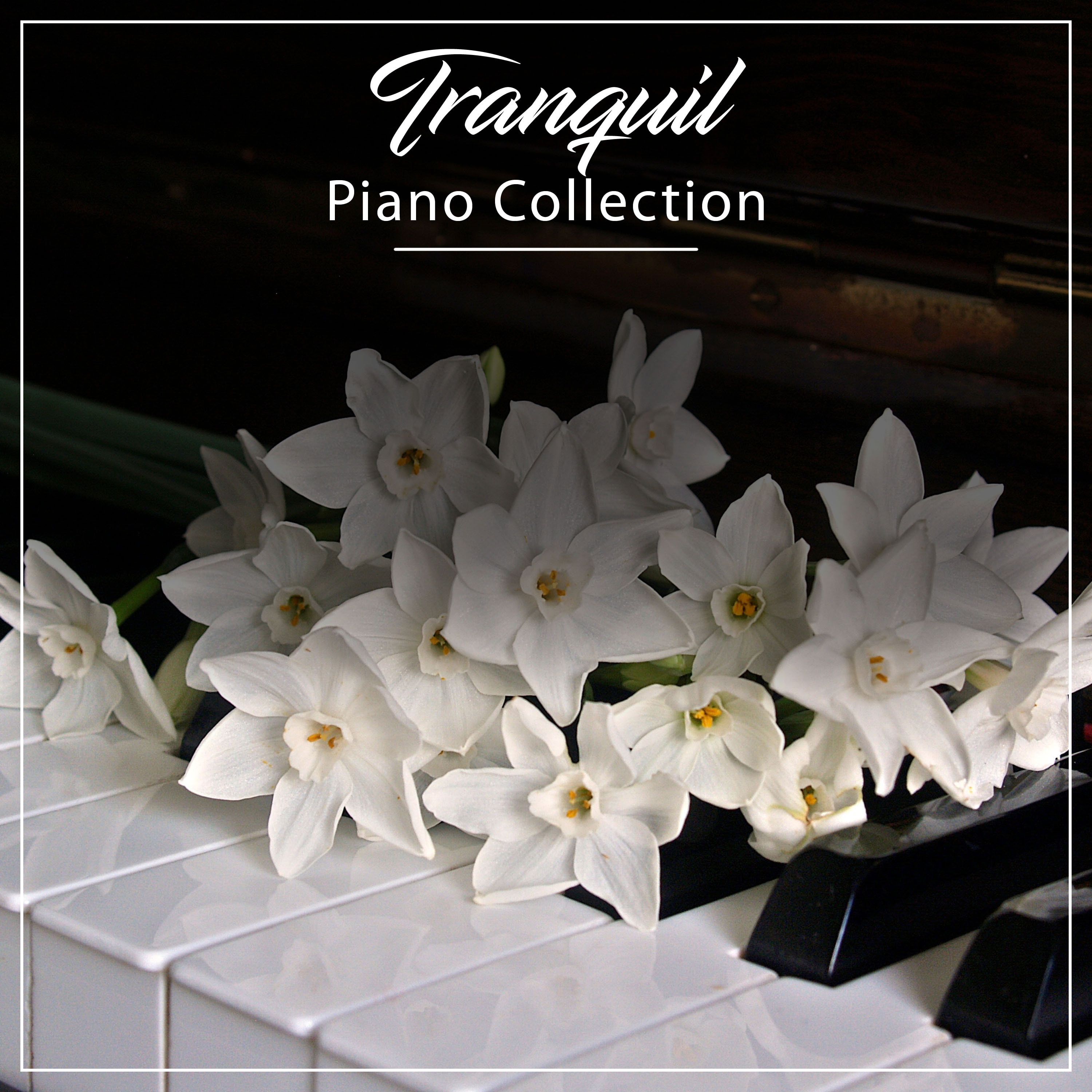 #21 Tranquil Piano Collection