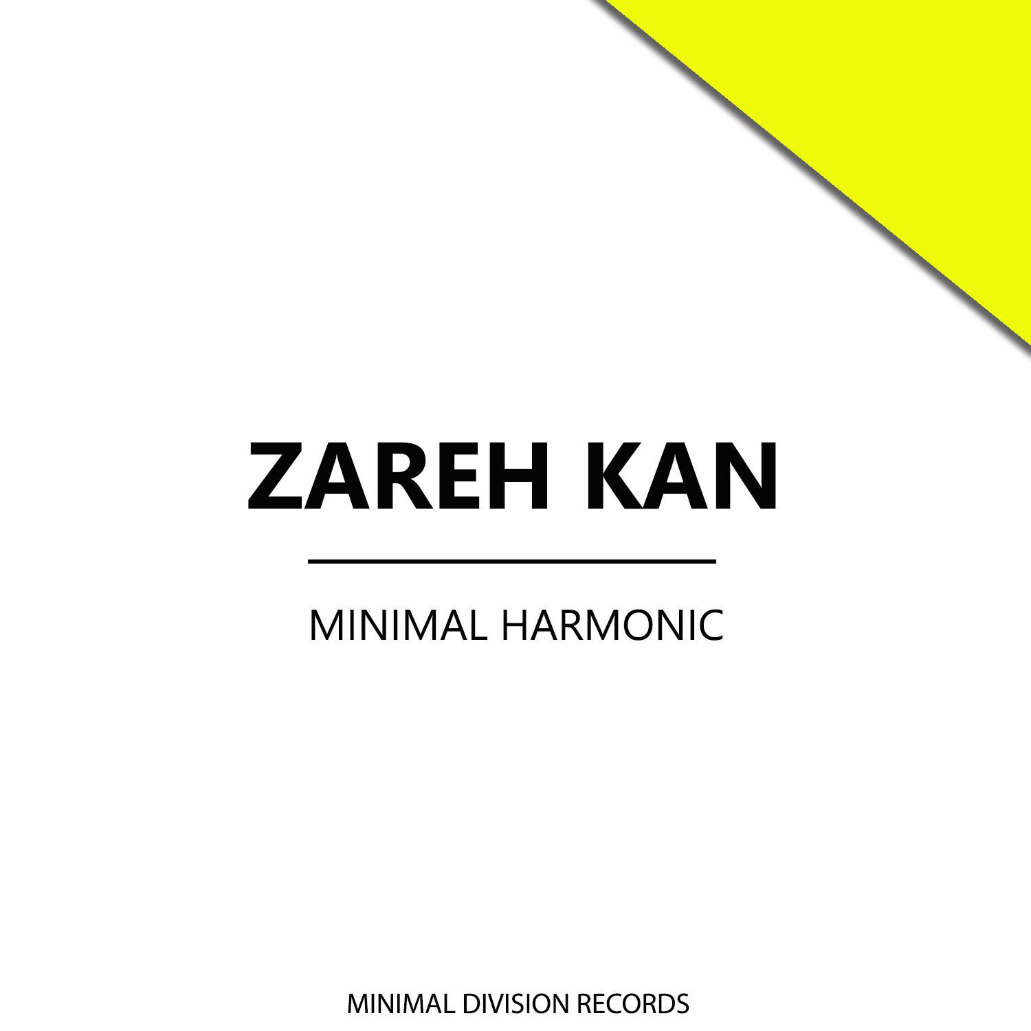 Minimal Harmonic