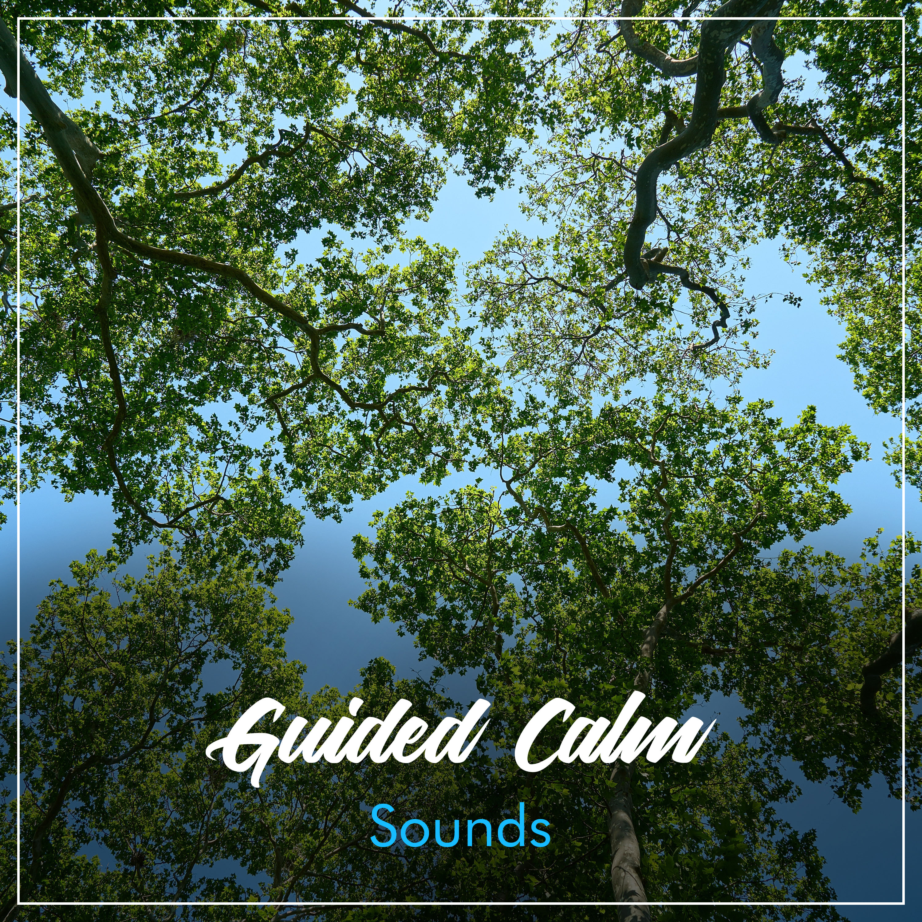 #5 Guided Calm Sounds for Relaxation & Mindfulness