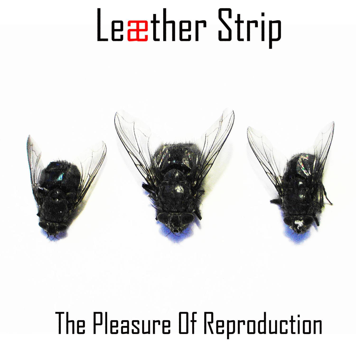 The Pleasure of Reproduction