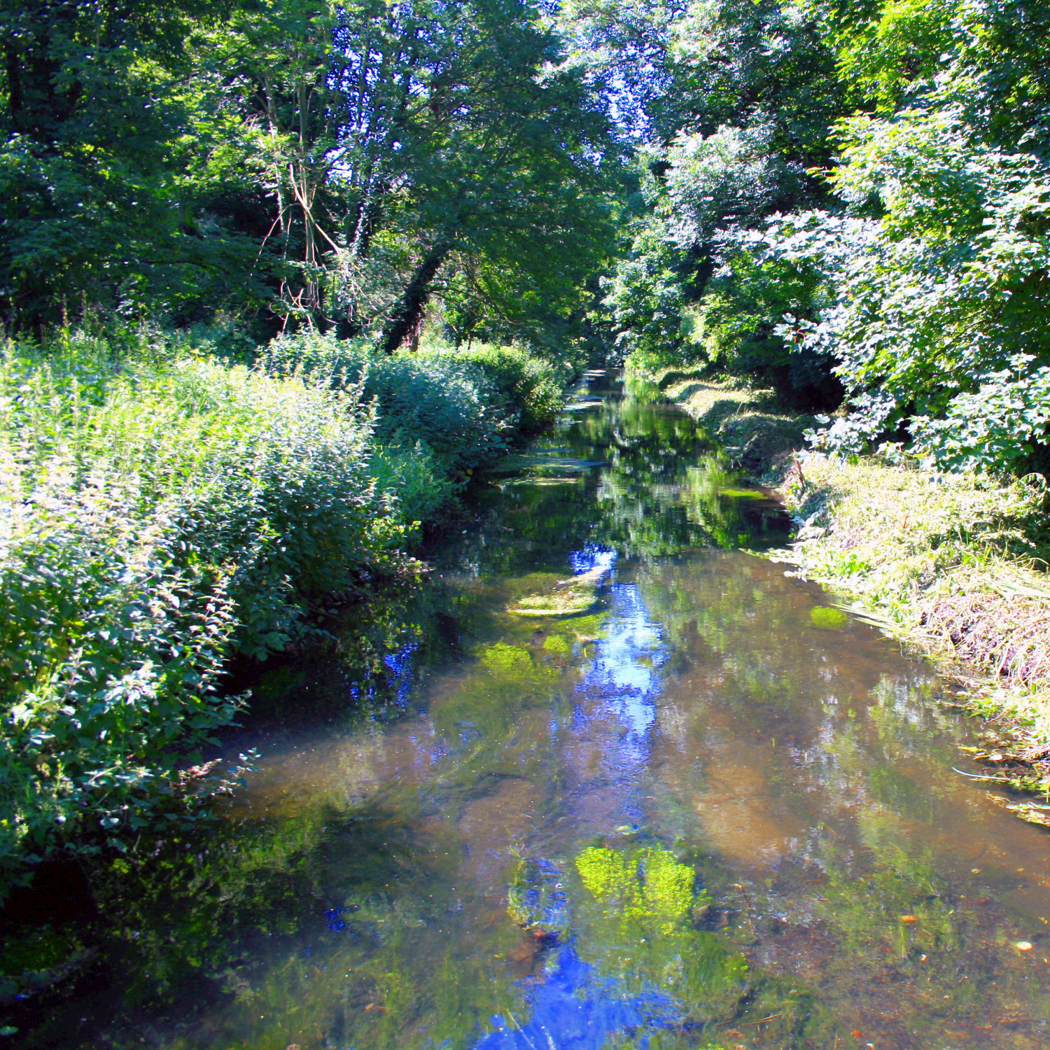 Windy River Bank