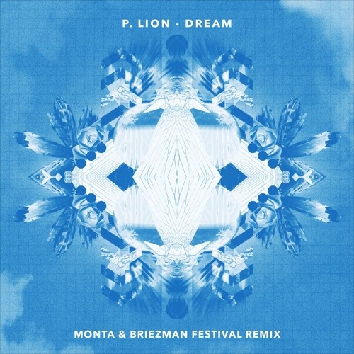 Dream (Monta & Briezman Festival Remix)