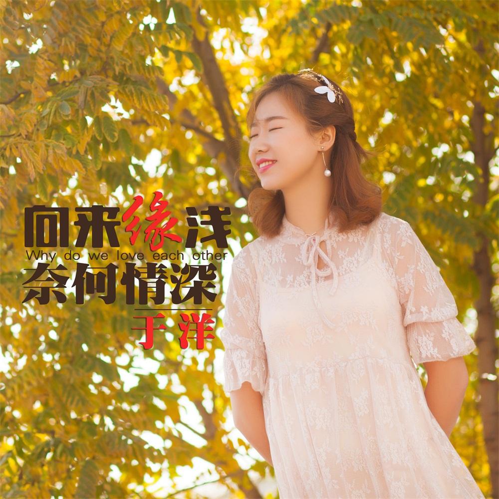 向来缘浅奈何情深 (伴奏)