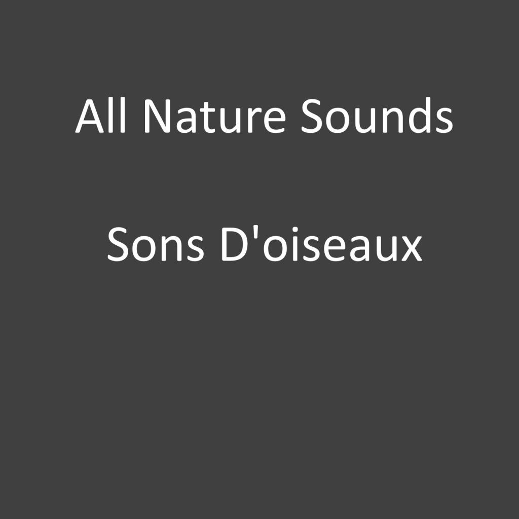 Sons D'oiseaux