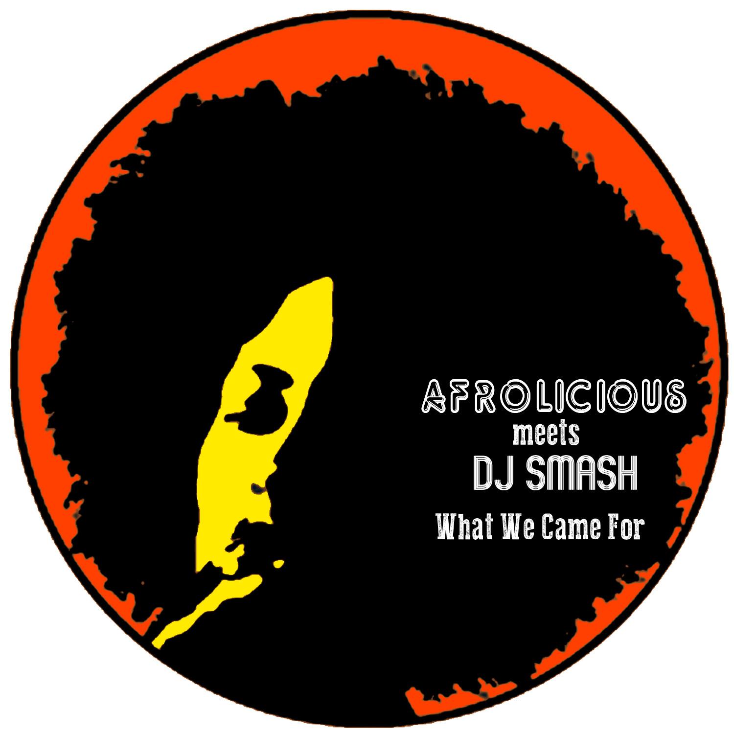 What We Came For (DJ Smash Teknocracy Mix)