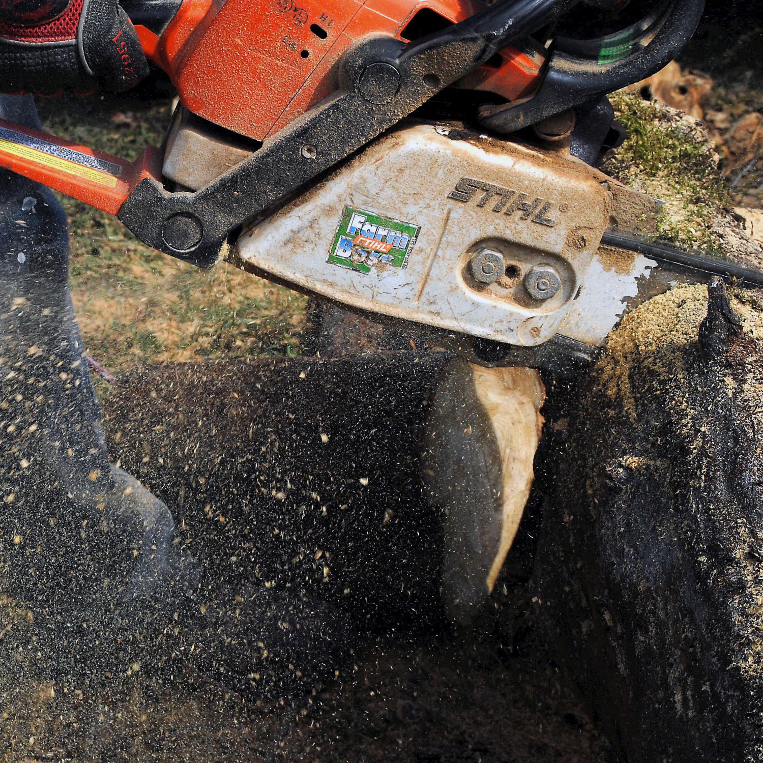 Chainsaws Cutting Wood