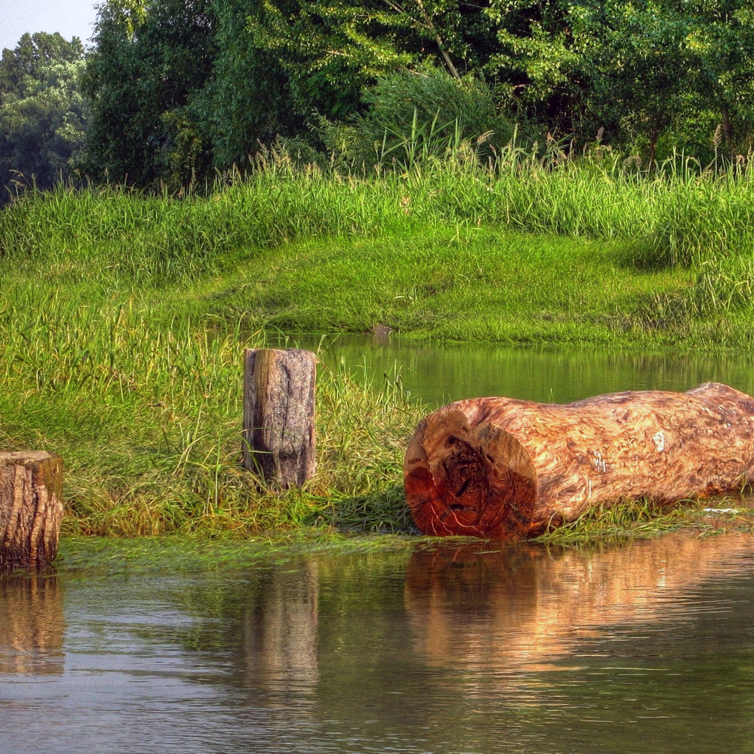 River Log