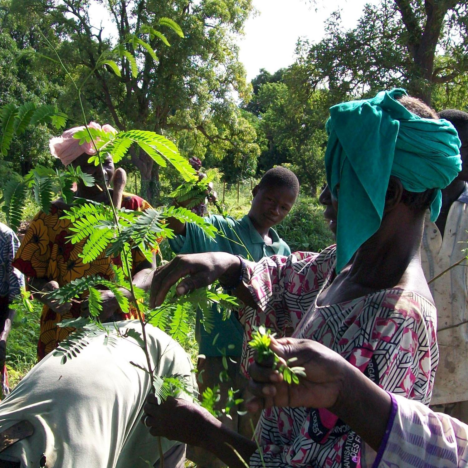 Mali Village