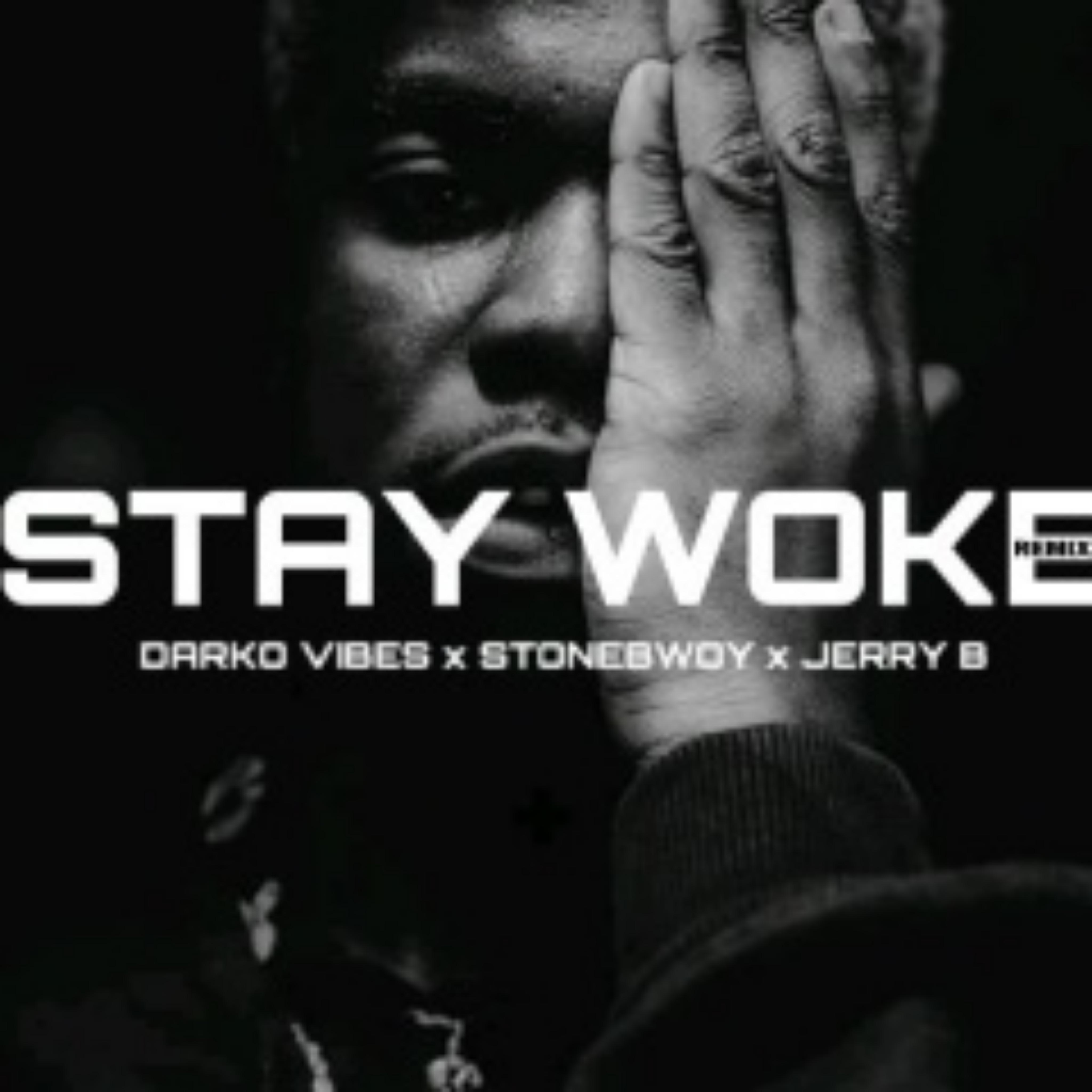 Stay Woke (remix)