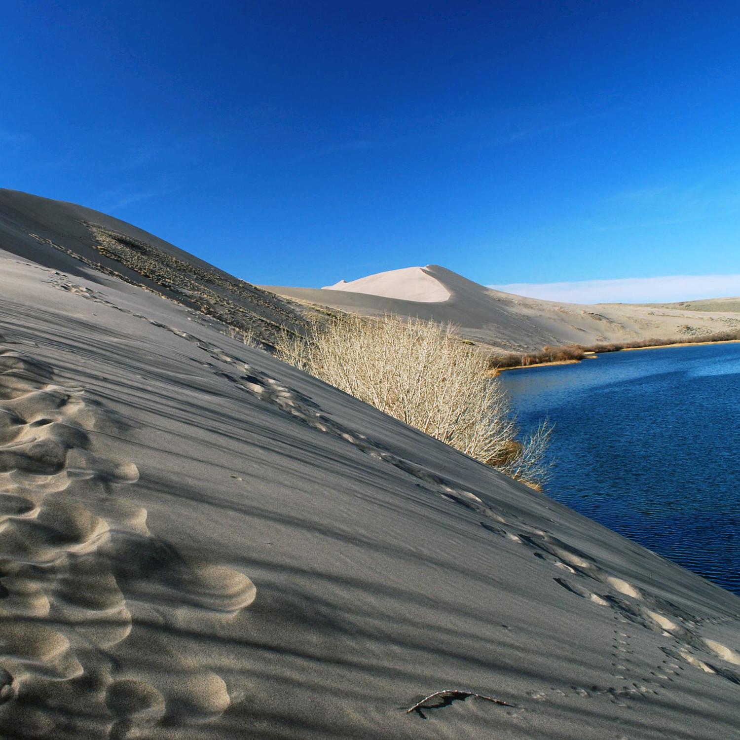 Bruneau Dunes State Park