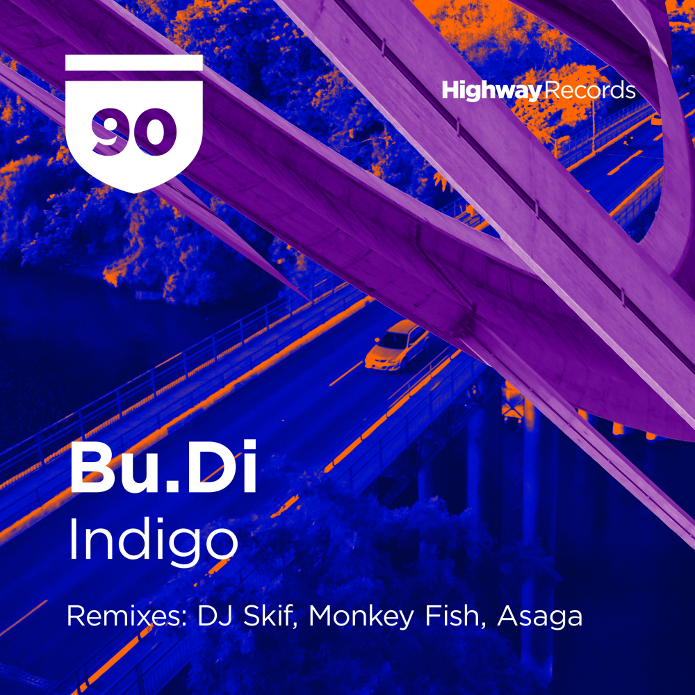 Indigo (Monkey Fish Remix)