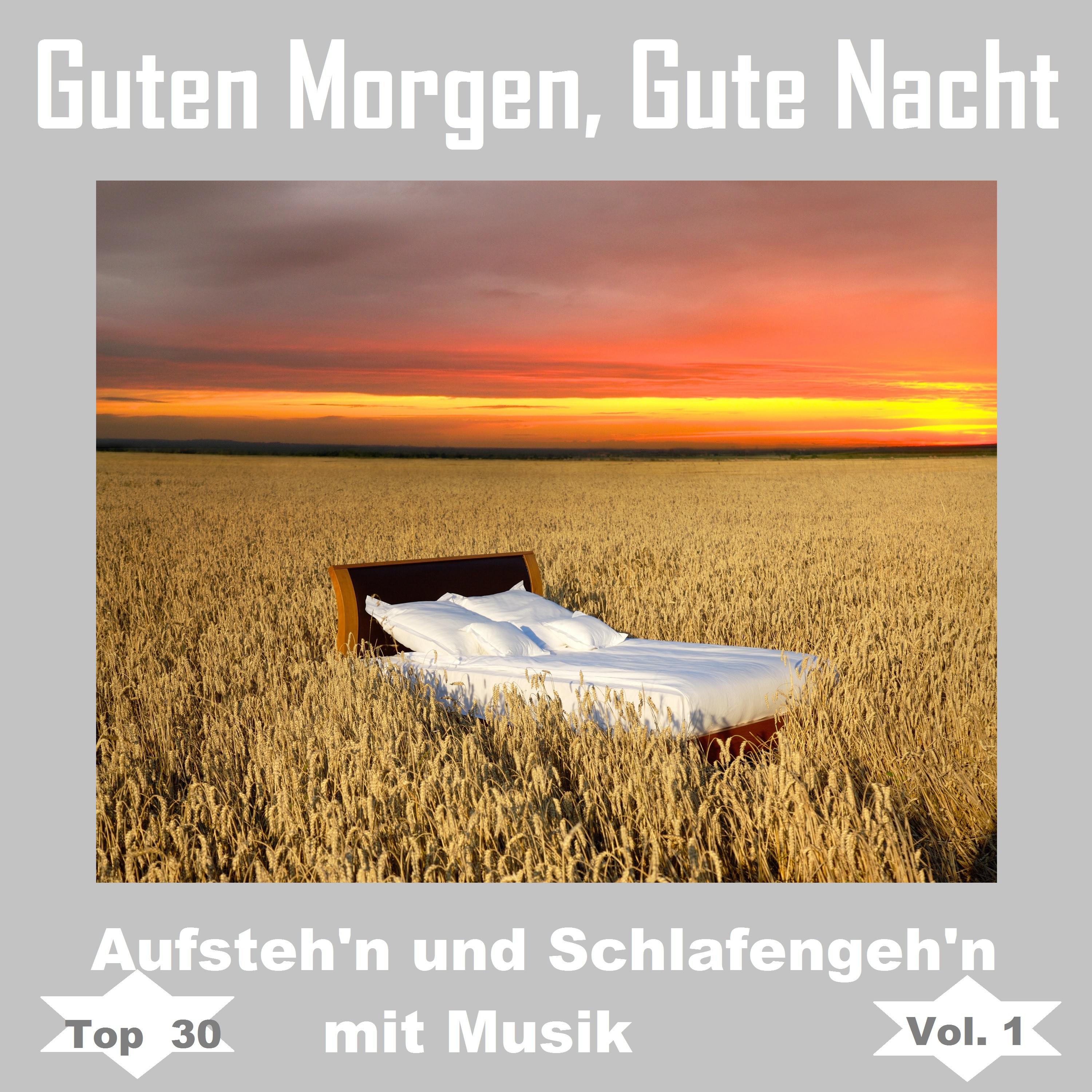 Top 30: Guten Morgen, gute Nacht - Aufsteh'n und schlafengeh'n mit Musik, Vol. 1