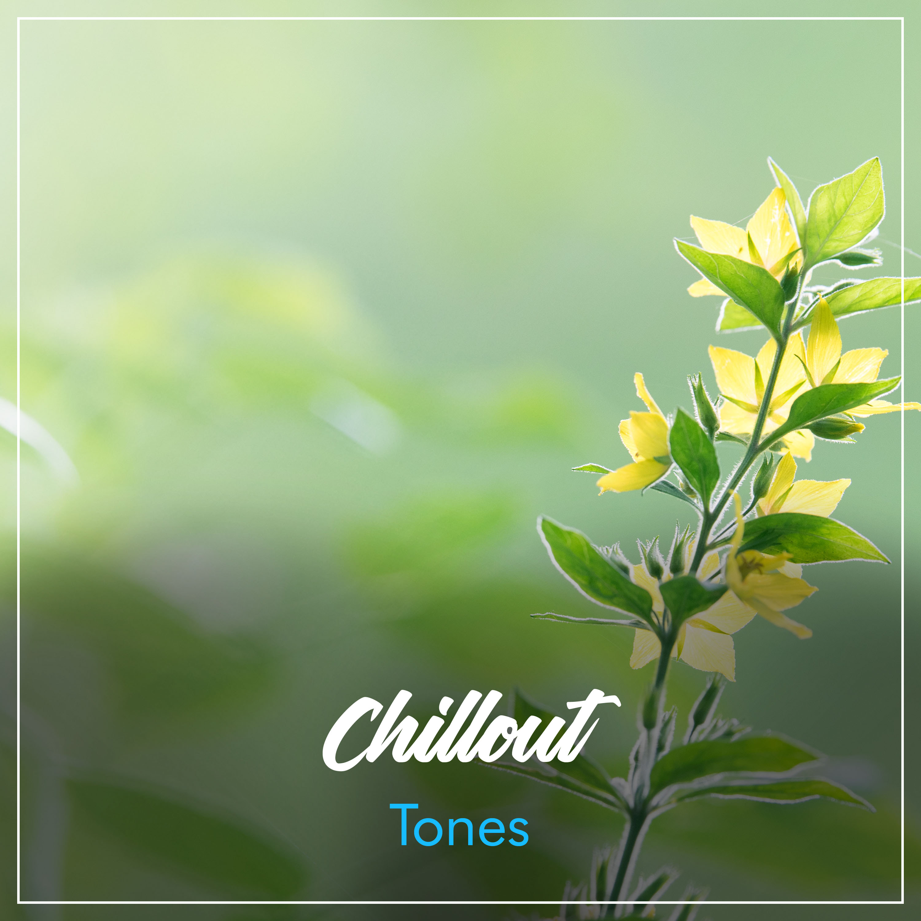 #10 Chillout Tones for a Deep Sleep