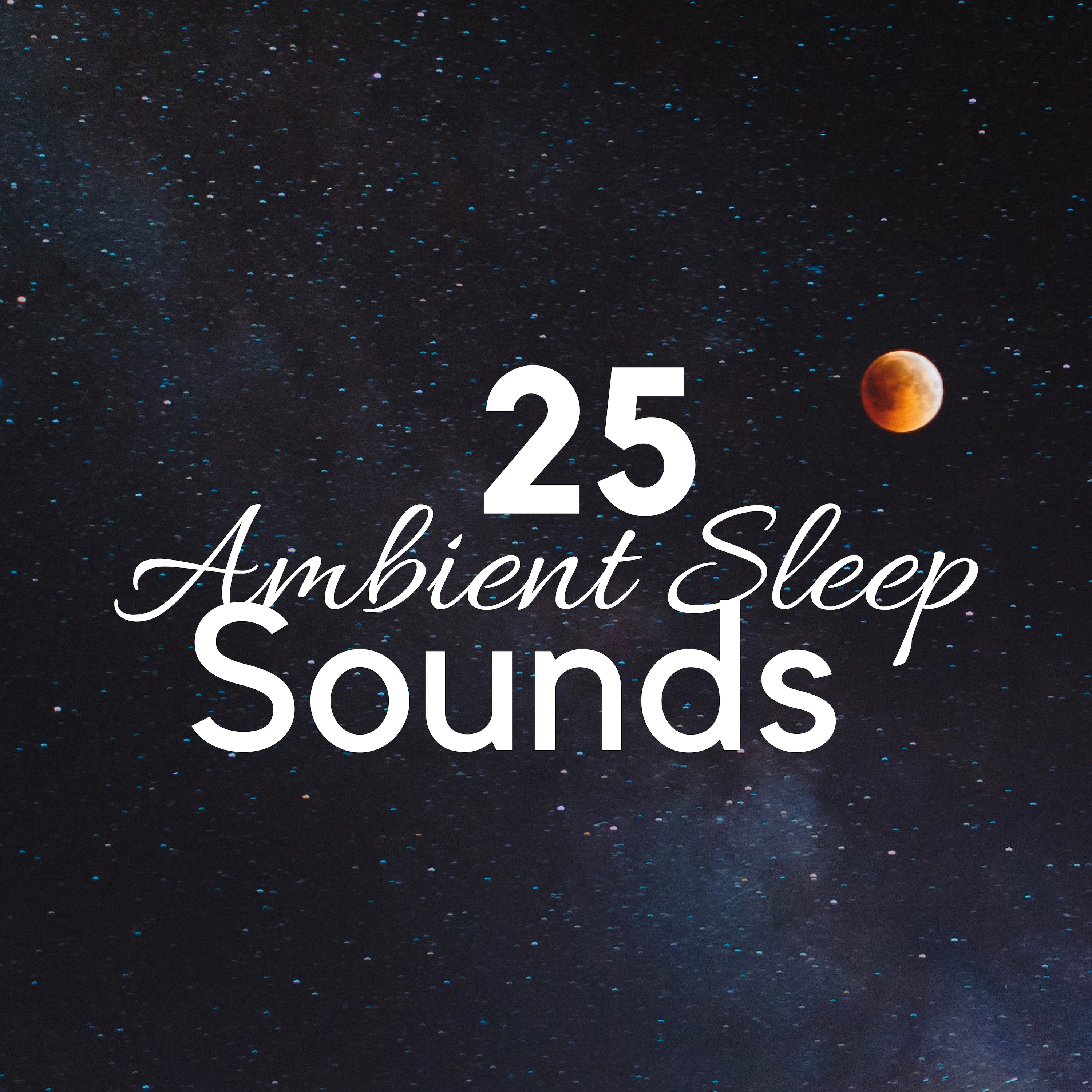 Night Sounds