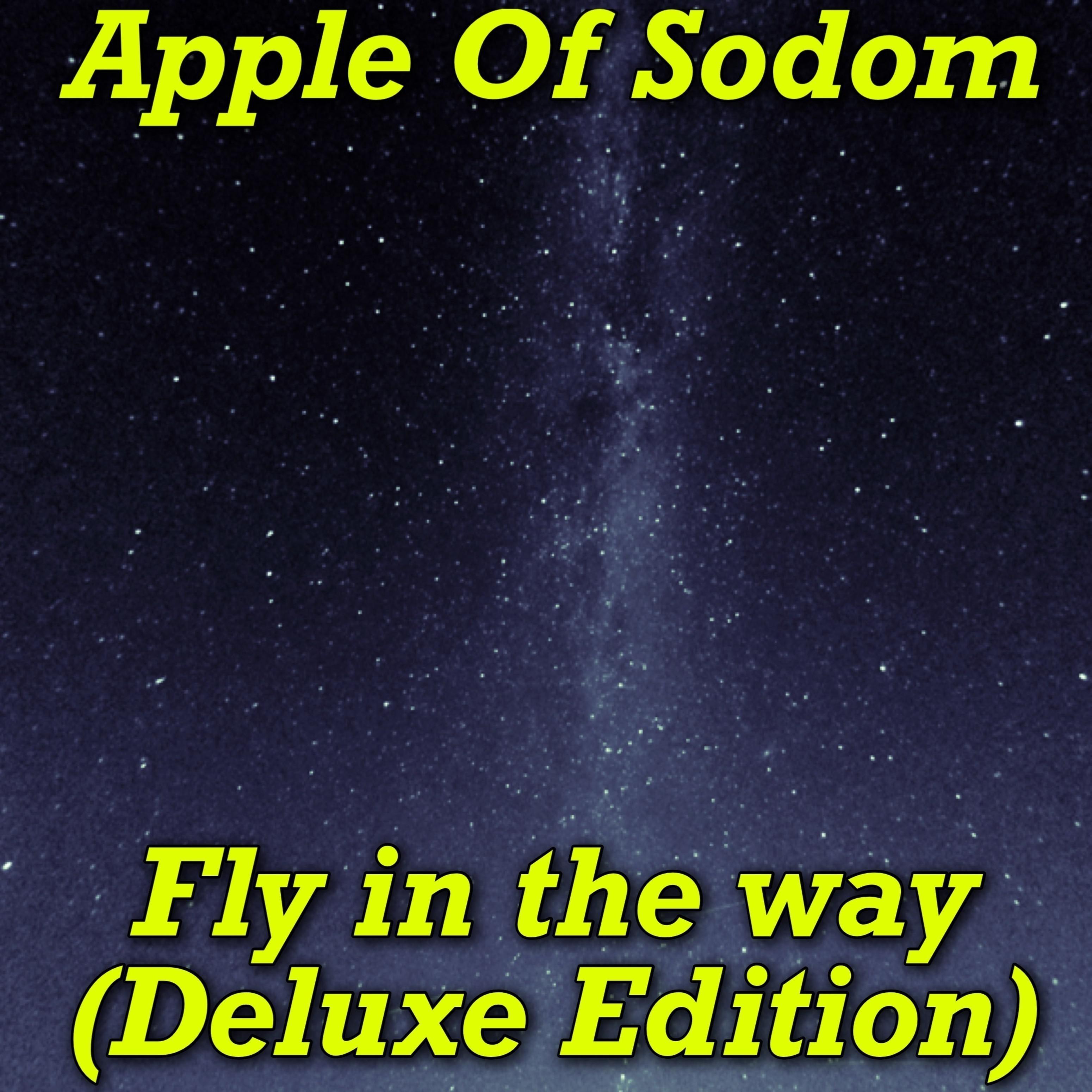 Fly in the Way (Deluxe Edition)