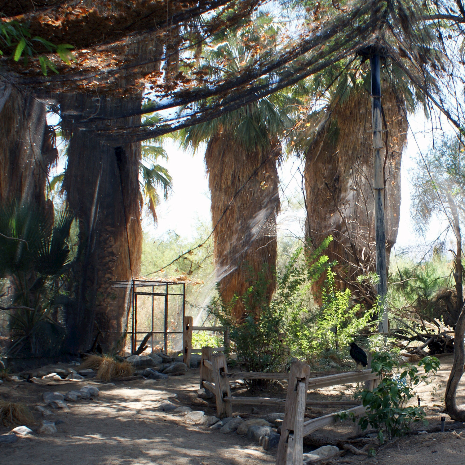 Desert Apiary