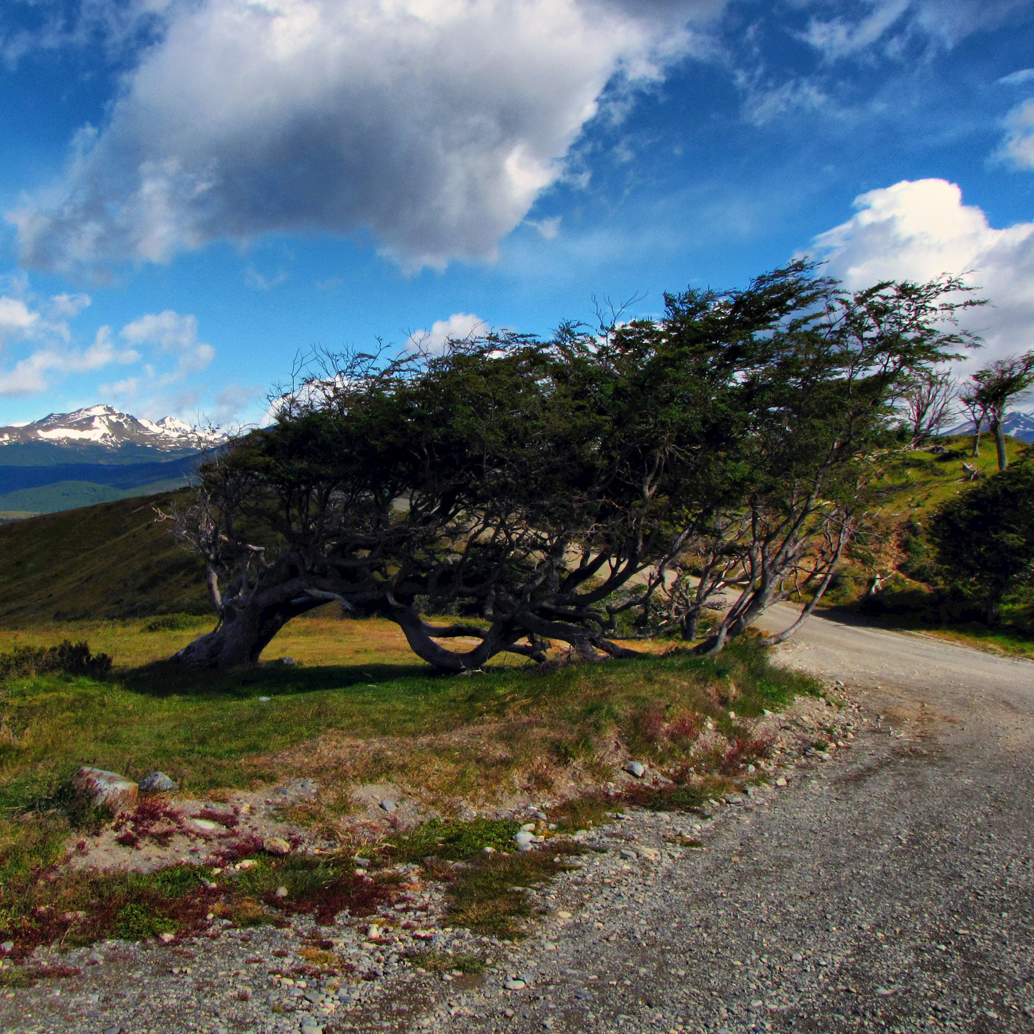 Tierra Del Fuego Wind