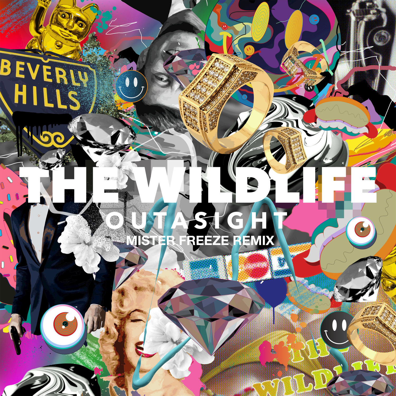 The Wild Life (Mister Freeze Remix) - Single