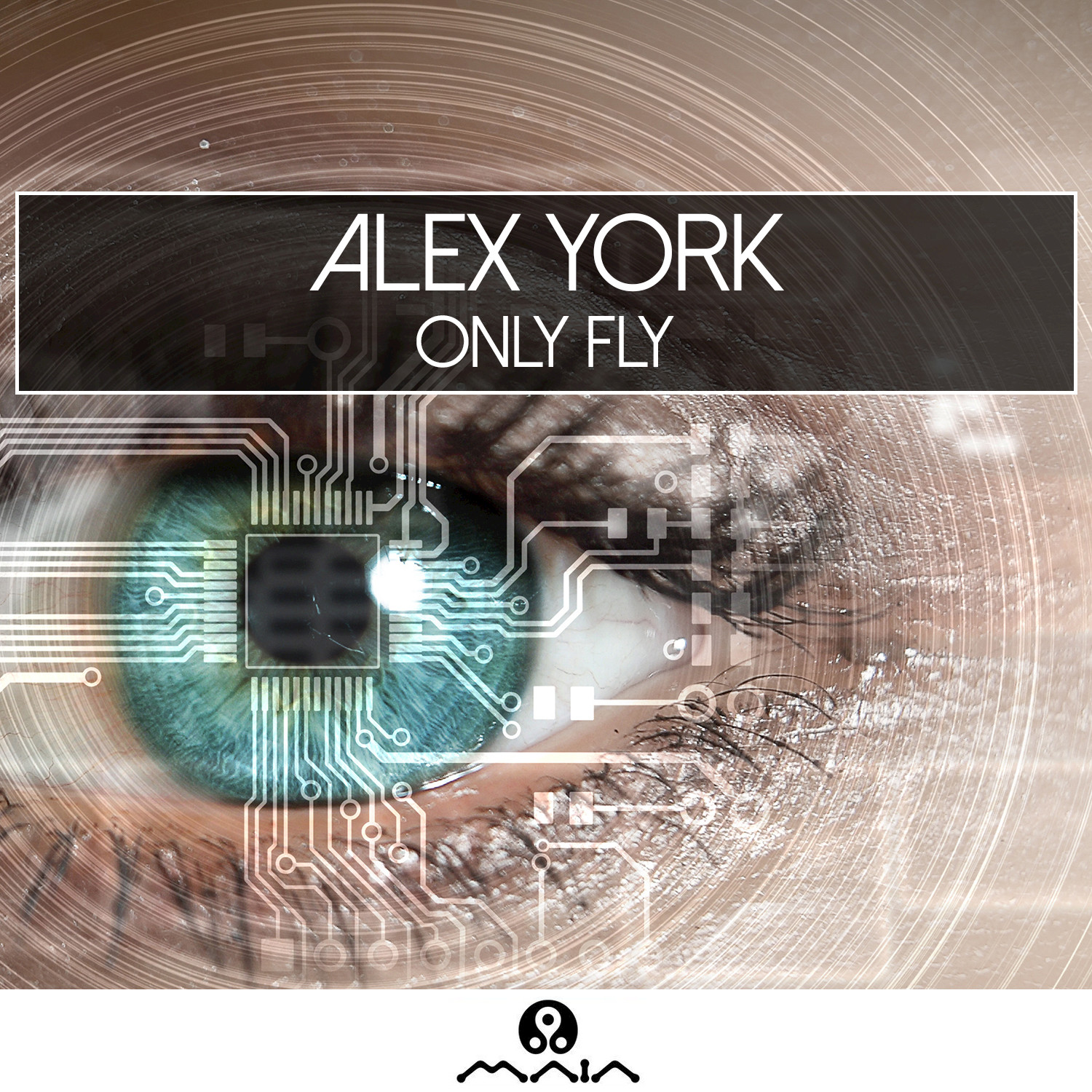 Only Fly (Echotek Remix)