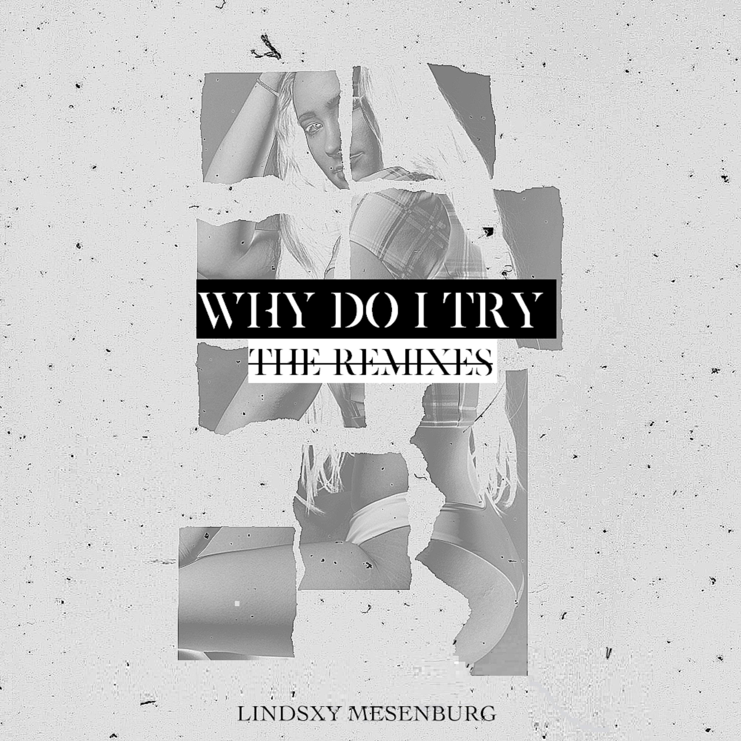 Why Do I Try (R.A Remix)