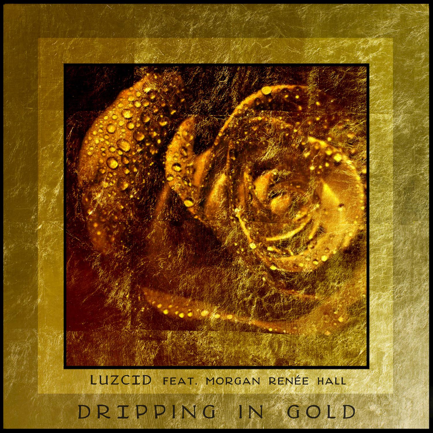 Dripping in Gold (feat. Morgan Renée Hall)