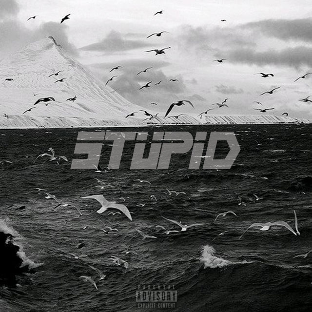 傻 -STUPID-