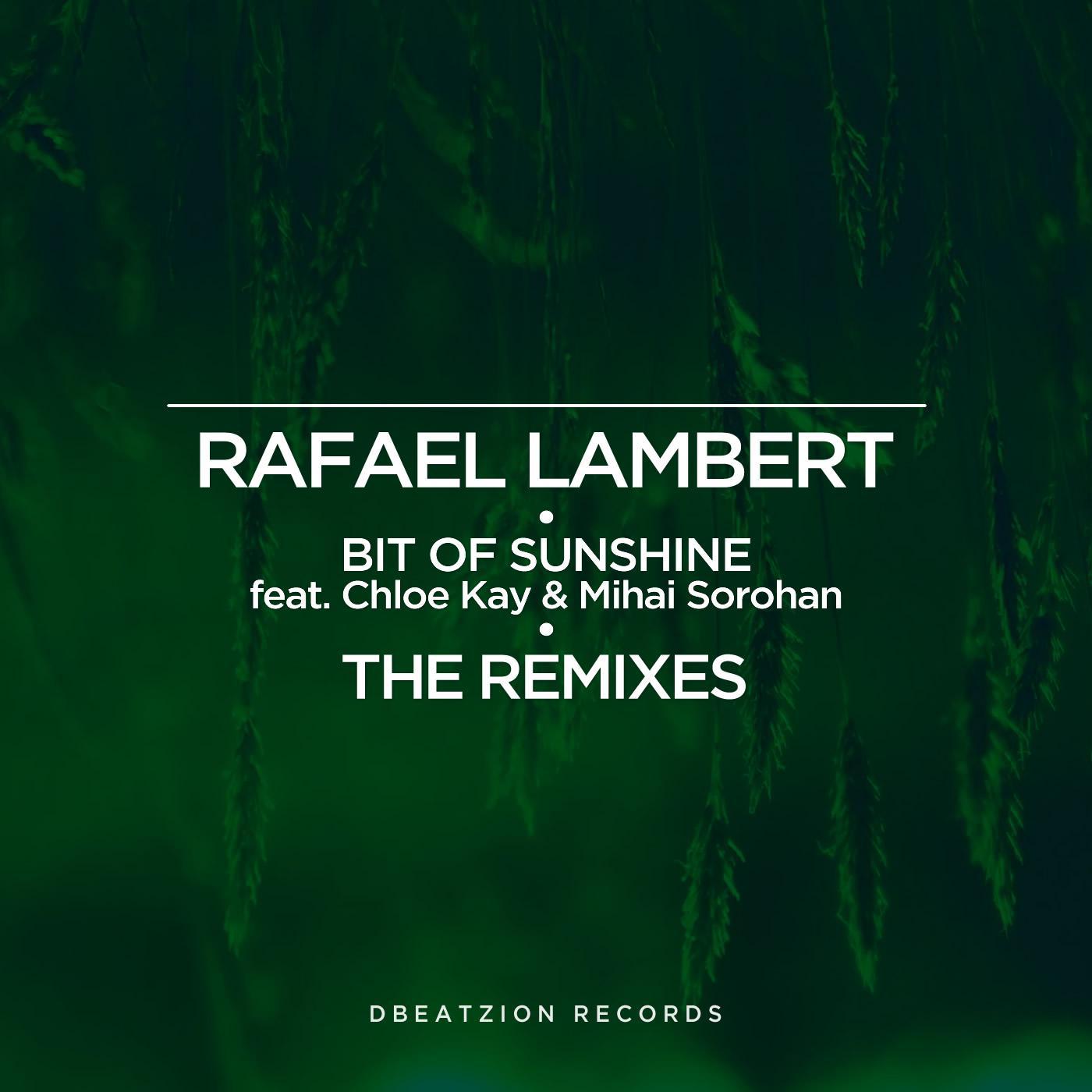 Bit Of Sunshine (The Remixes)