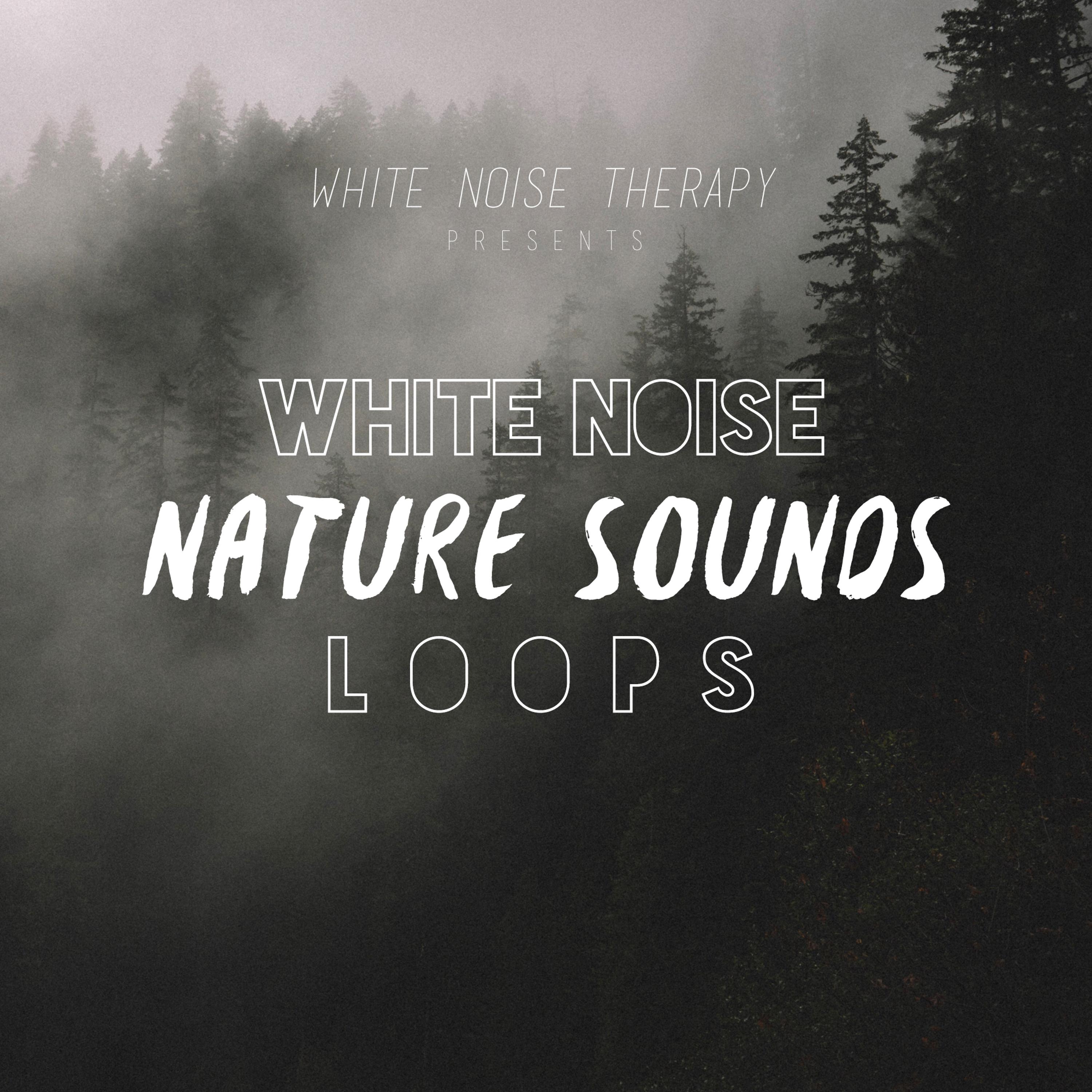 White Noise Misty Forest (No Fade)