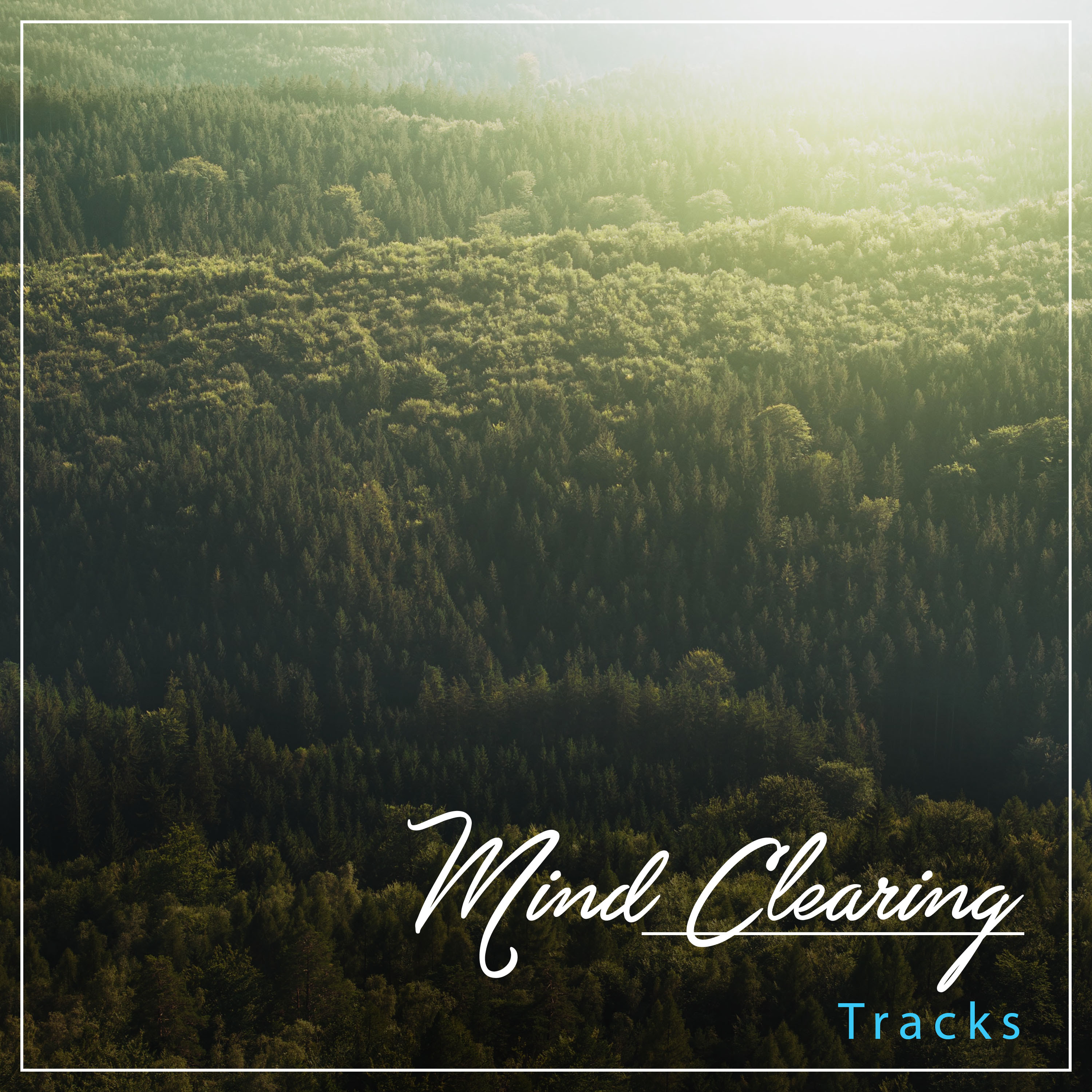 #17 Mind Clearing Tracks for Meditation, Spa and Relaxation